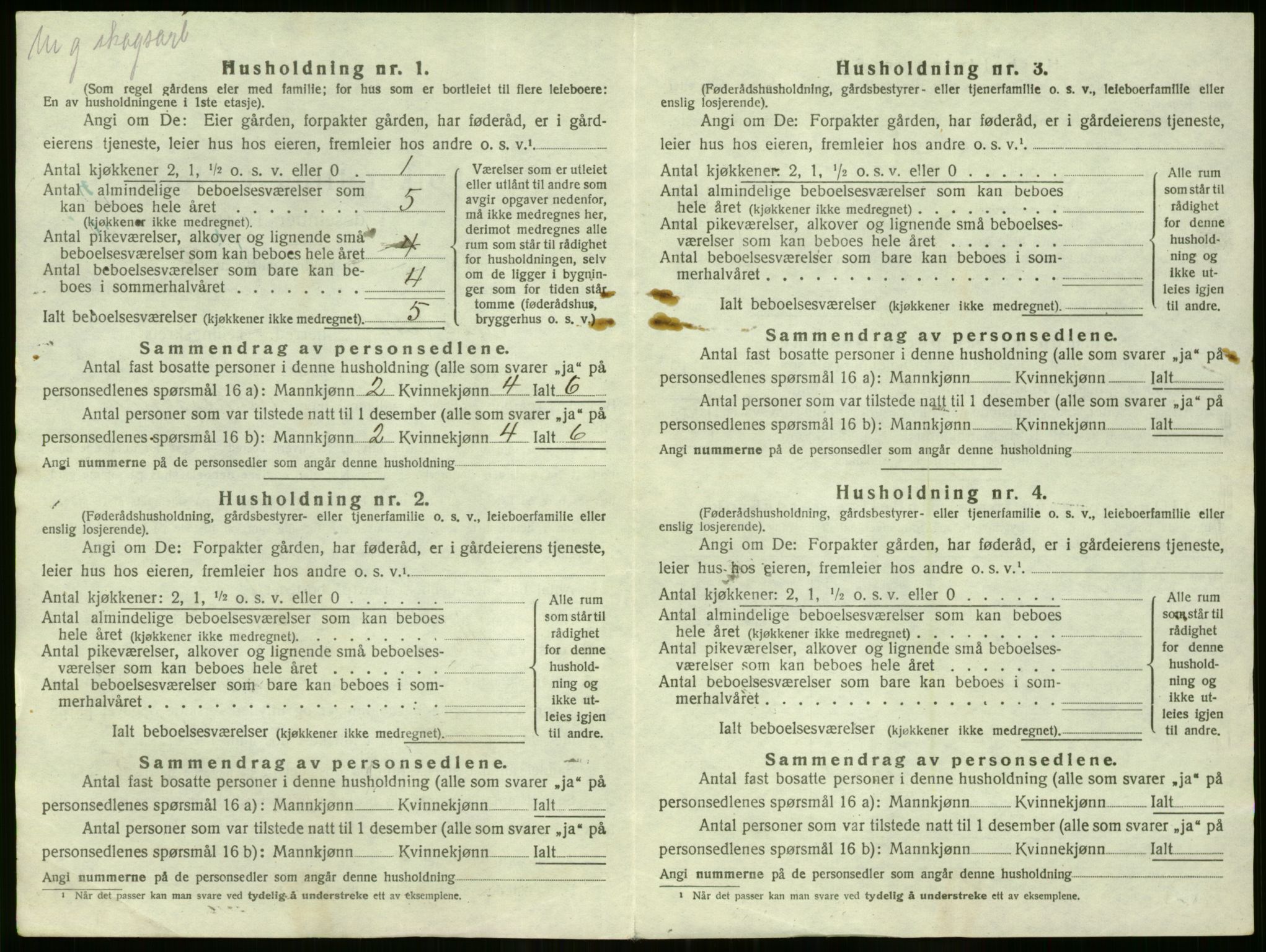 SAO, Folketelling 1920 for 0236 Nes herred, 1920, s. 3387