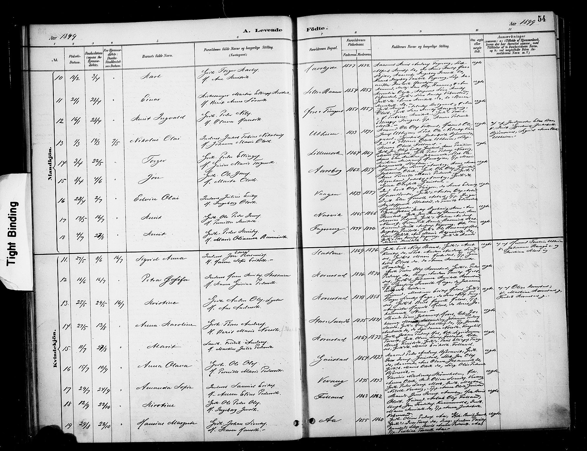 Ministerialprotokoller, klokkerbøker og fødselsregistre - Møre og Romsdal, SAT/A-1454/570/L0832: Ministerialbok nr. 570A06, 1885-1900, s. 54