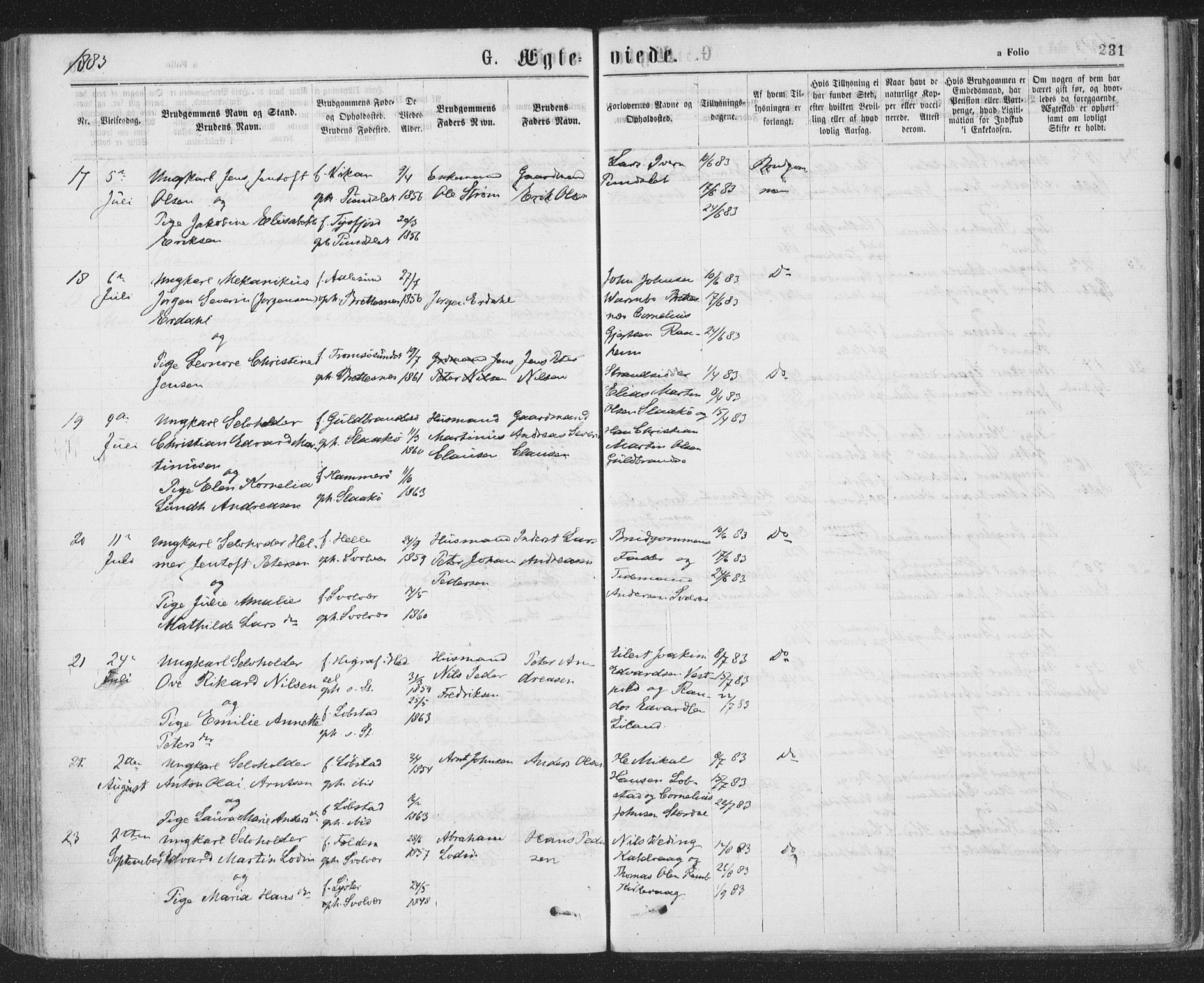 Ministerialprotokoller, klokkerbøker og fødselsregistre - Nordland, SAT/A-1459/874/L1058: Ministerialbok nr. 874A02, 1878-1883, s. 231