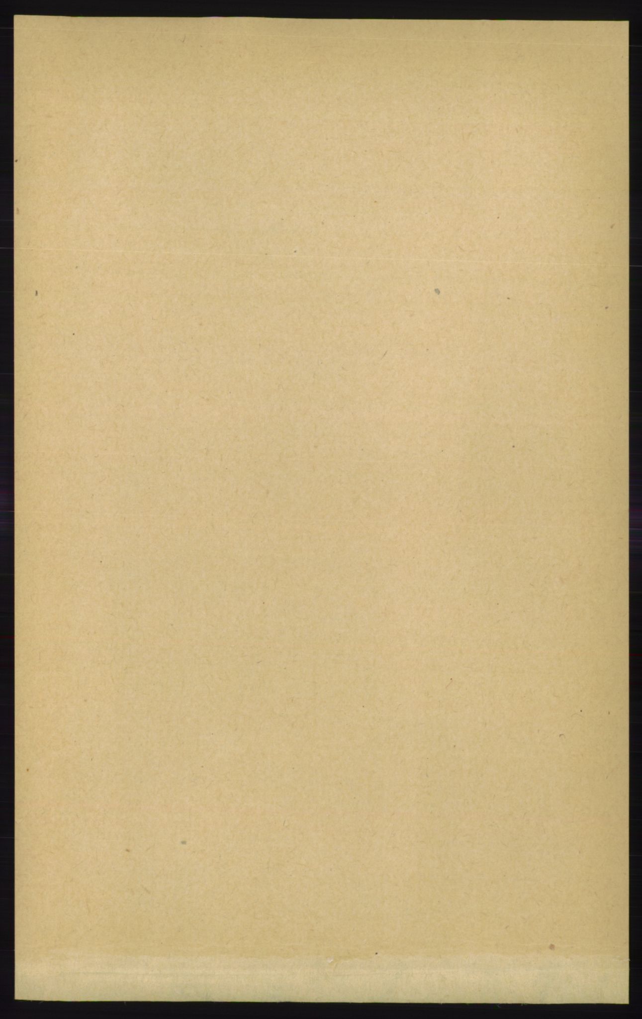 RA, Folketelling 1891 for 1154 Skjold herred, 1891, s. 71
