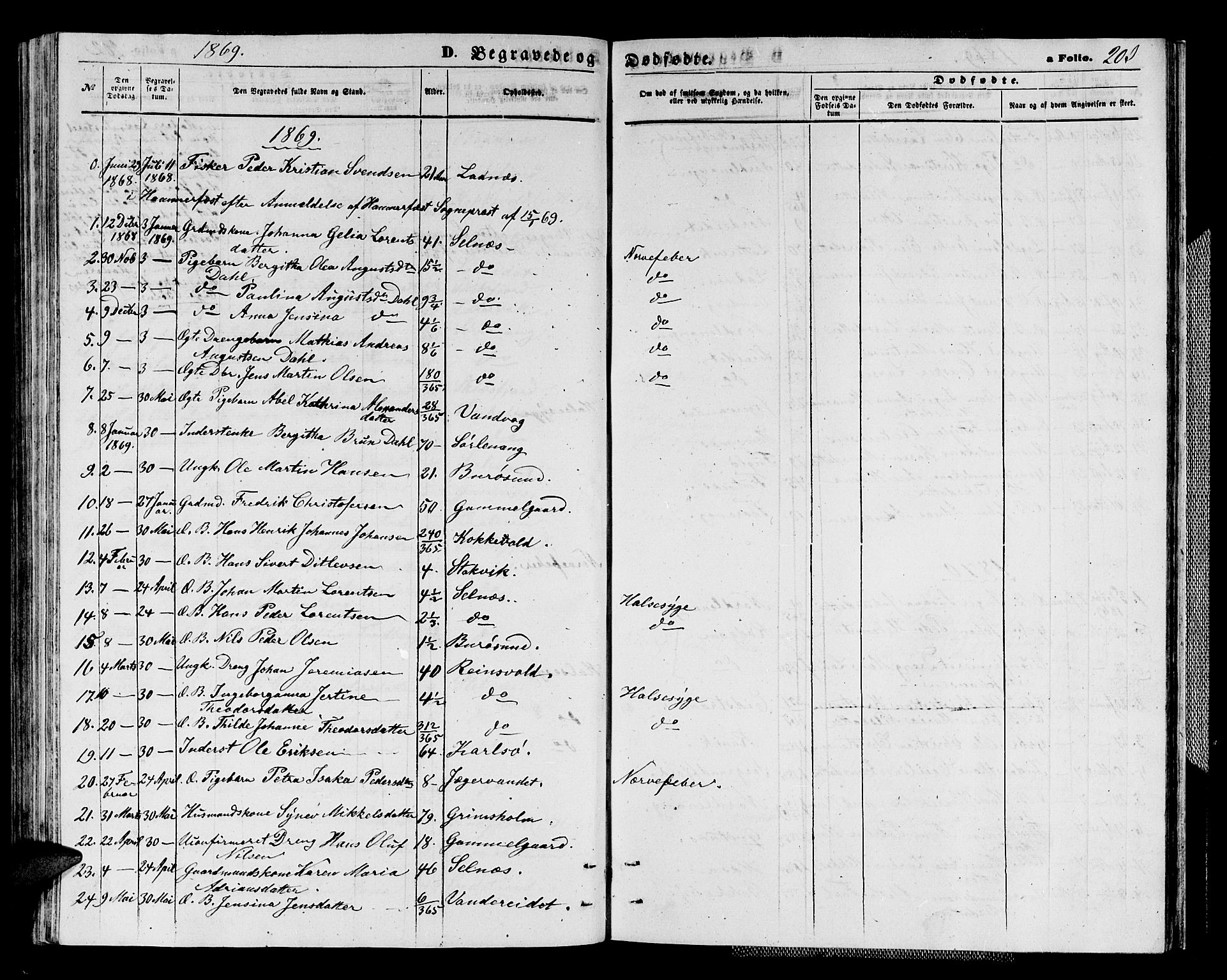 Karlsøy sokneprestembete, AV/SATØ-S-1299/H/Ha/Hab/L0003klokker: Klokkerbok nr. 3, 1862-1877, s. 203