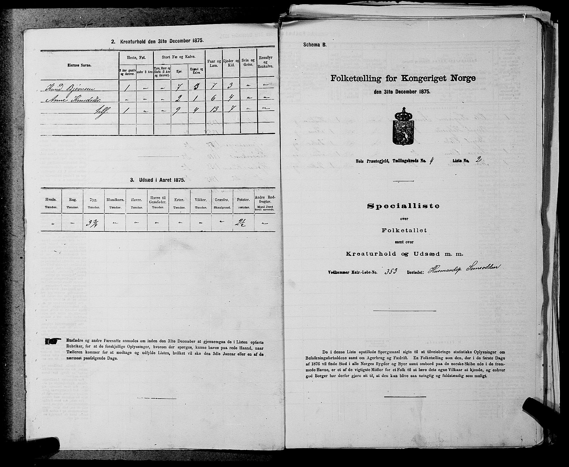 SAKO, Folketelling 1875 for 0620P Hol prestegjeld, 1875, s. 432