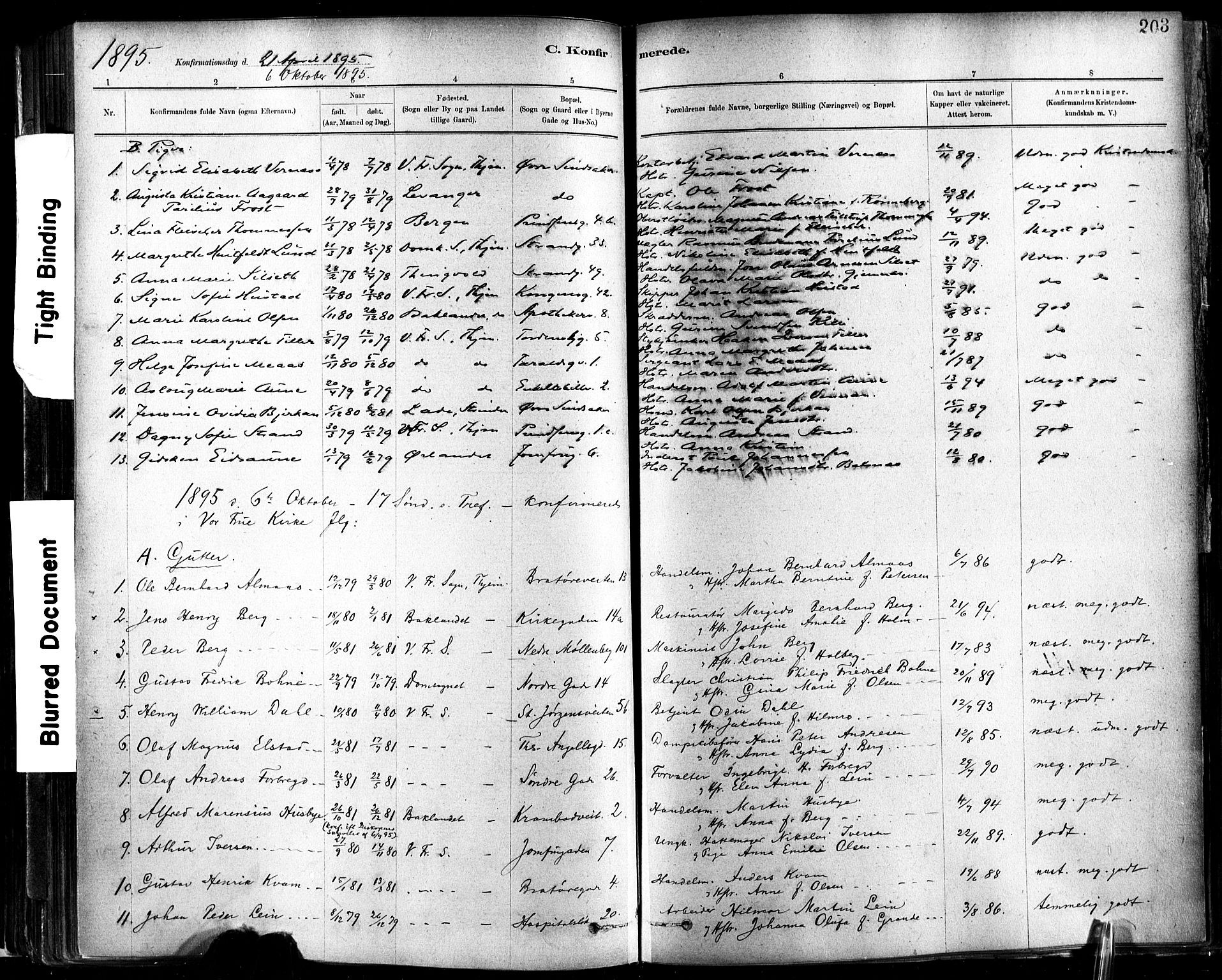 Ministerialprotokoller, klokkerbøker og fødselsregistre - Sør-Trøndelag, SAT/A-1456/602/L0119: Ministerialbok nr. 602A17, 1880-1901, s. 203