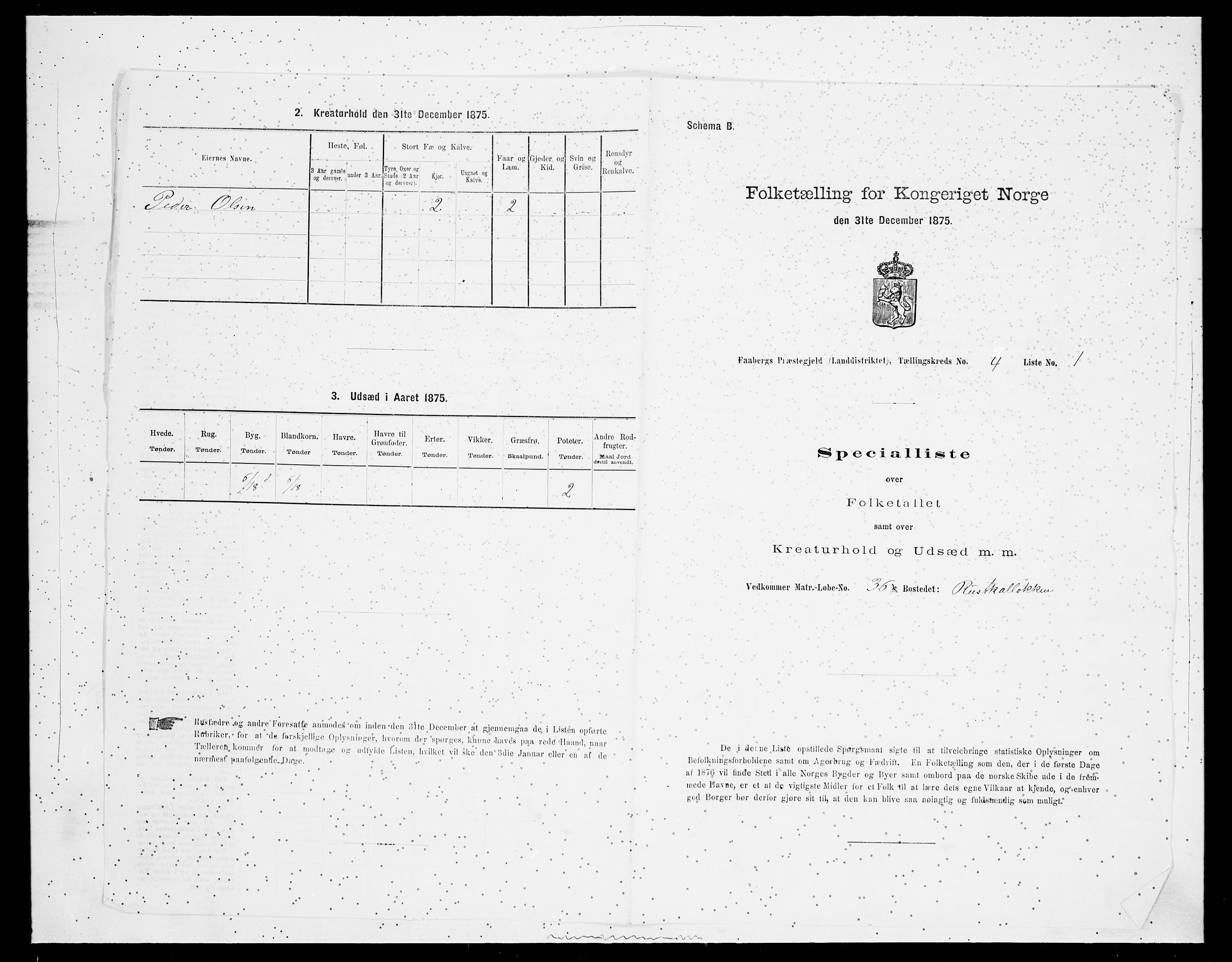 SAH, Folketelling 1875 for 0524L Fåberg prestegjeld, Fåberg sokn og Lillehammer landsokn, 1875, s. 493