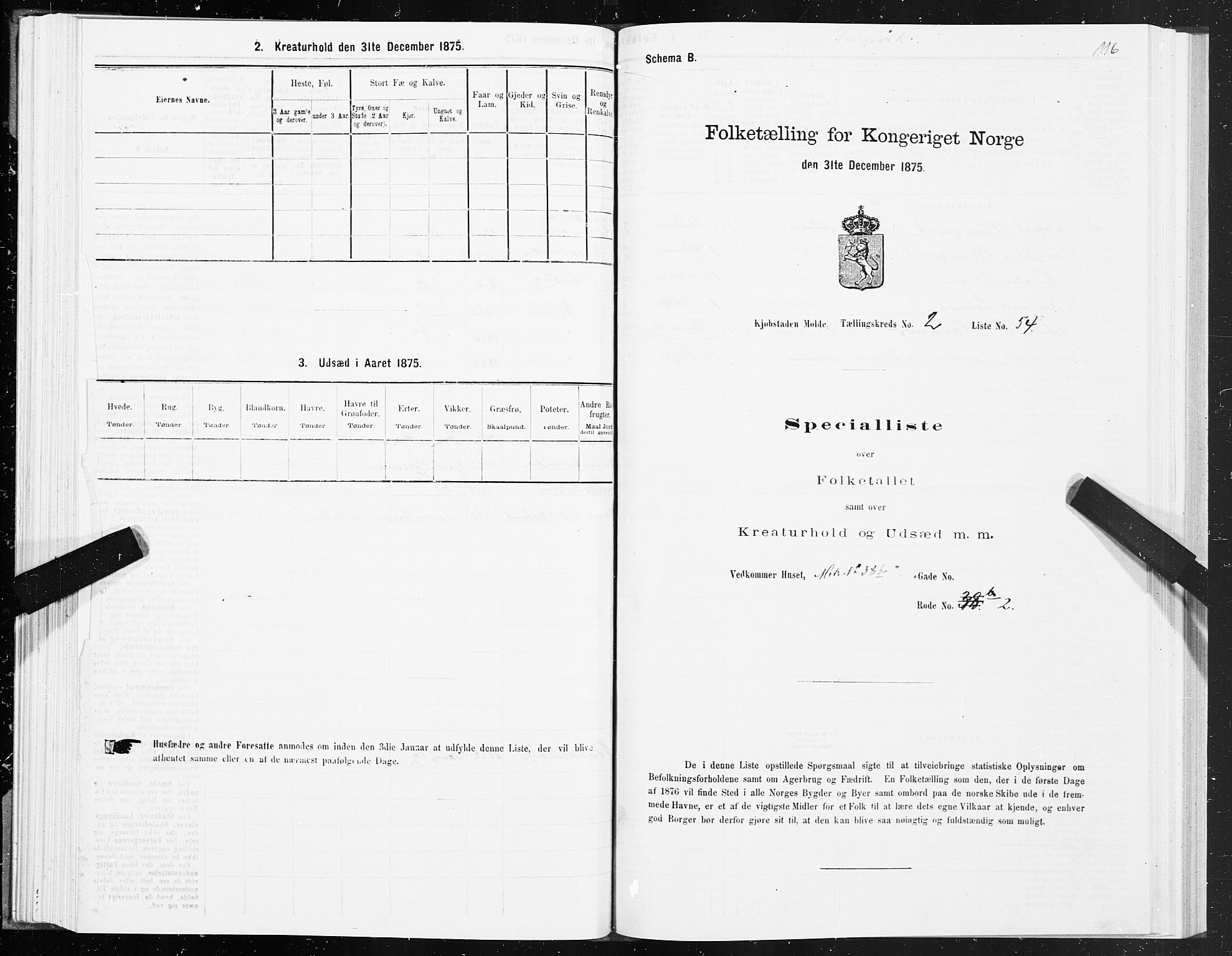 SAT, Folketelling 1875 for 1502P Molde prestegjeld, 1875, s. 1116