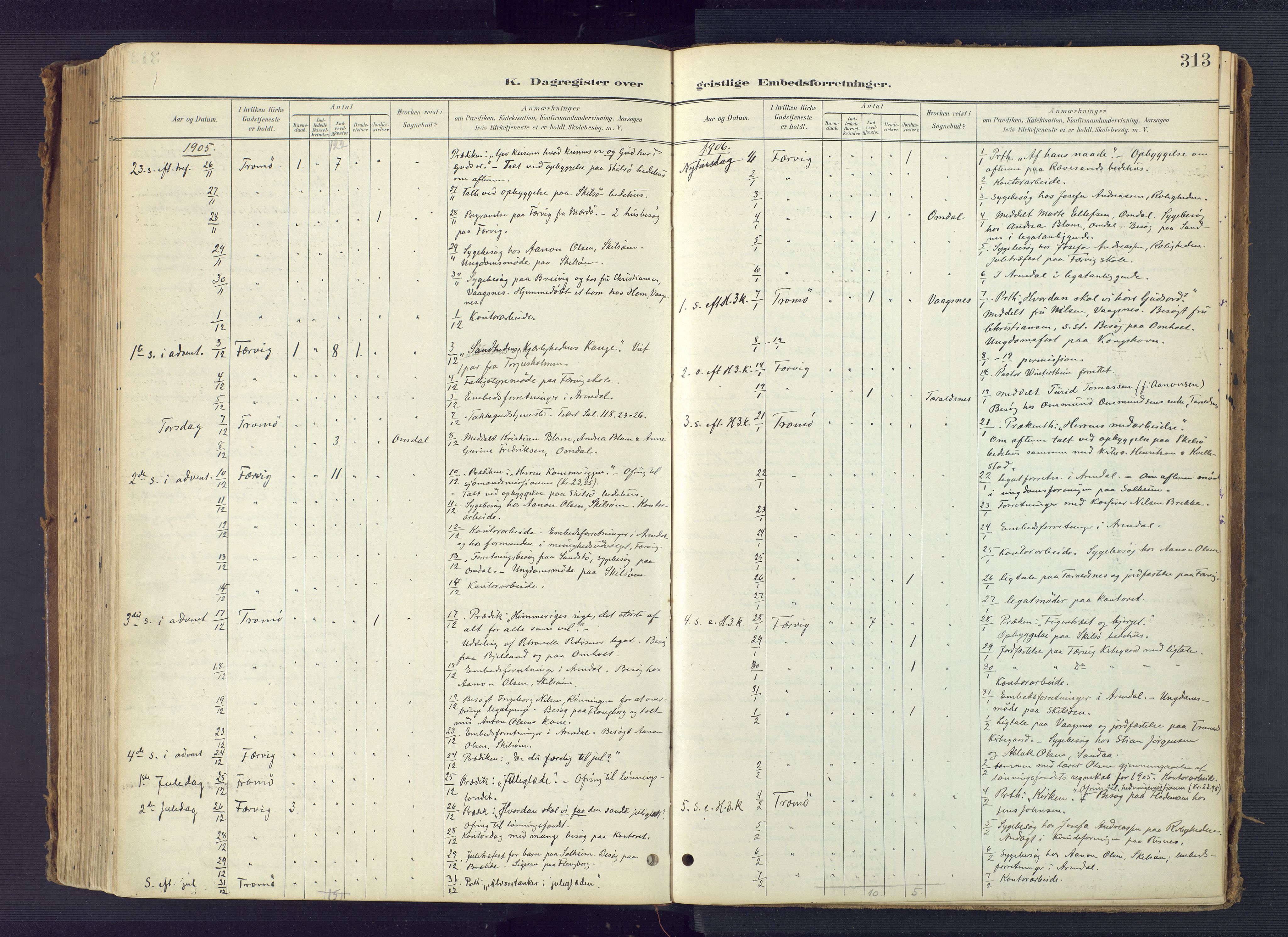 Tromøy sokneprestkontor, AV/SAK-1111-0041/F/Fa/L0010: Ministerialbok nr. A 10, 1896-1912, s. 313