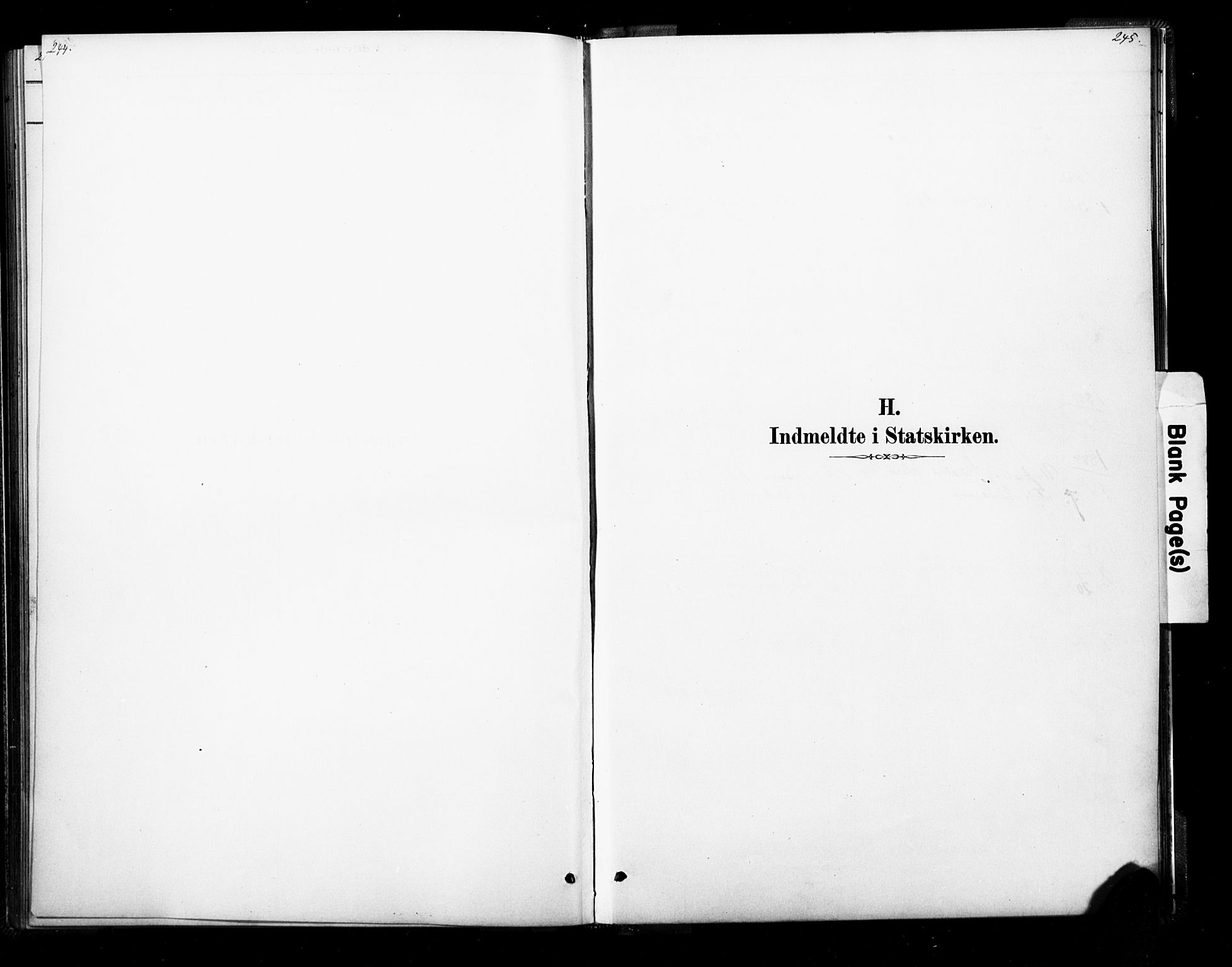 Ramnes kirkebøker, SAKO/A-314/F/Fb/L0001: Ministerialbok nr. II 1, 1878-1894, s. 244-245