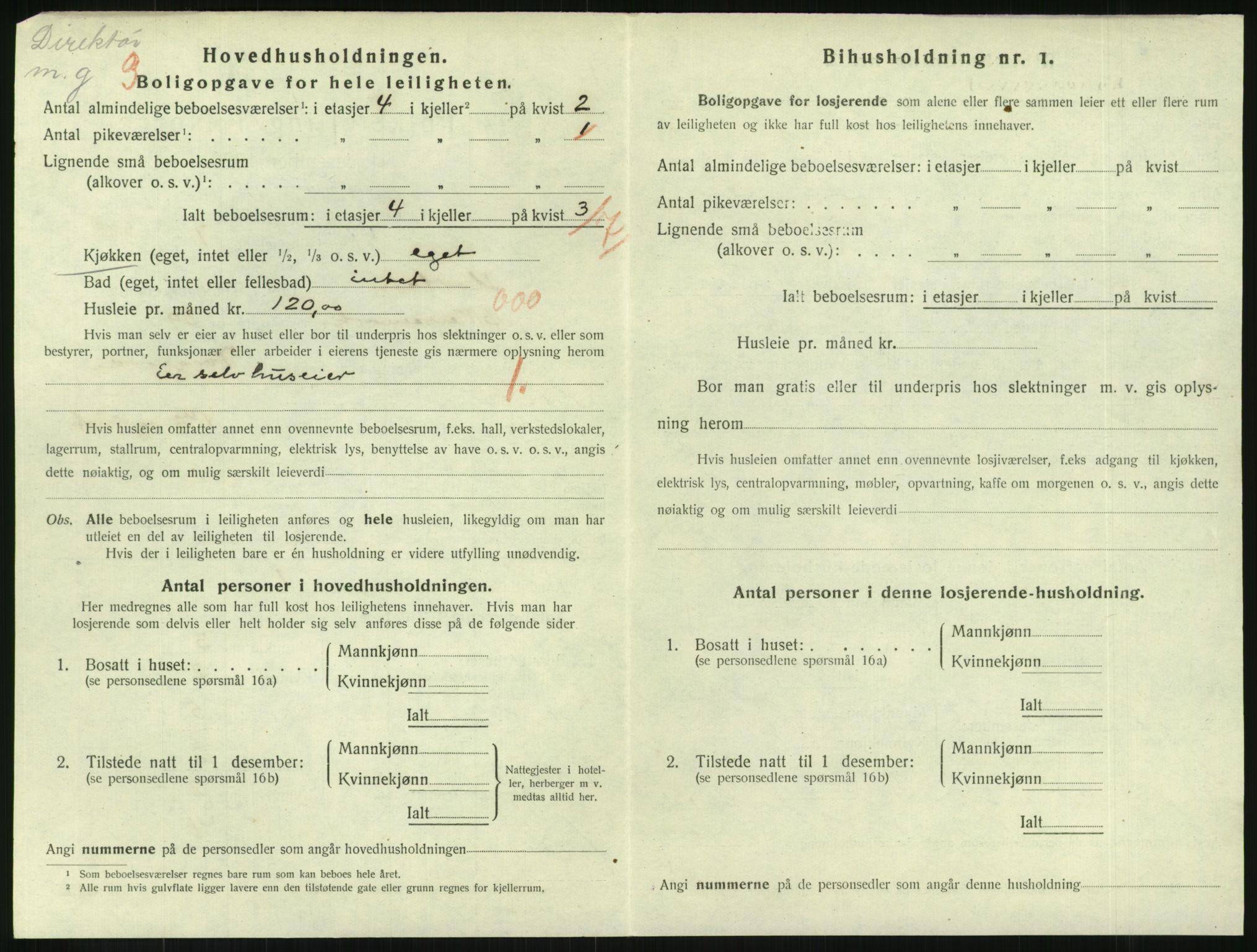 SAKO, Folketelling 1920 for 0703 Horten kjøpstad, 1920, s. 4306