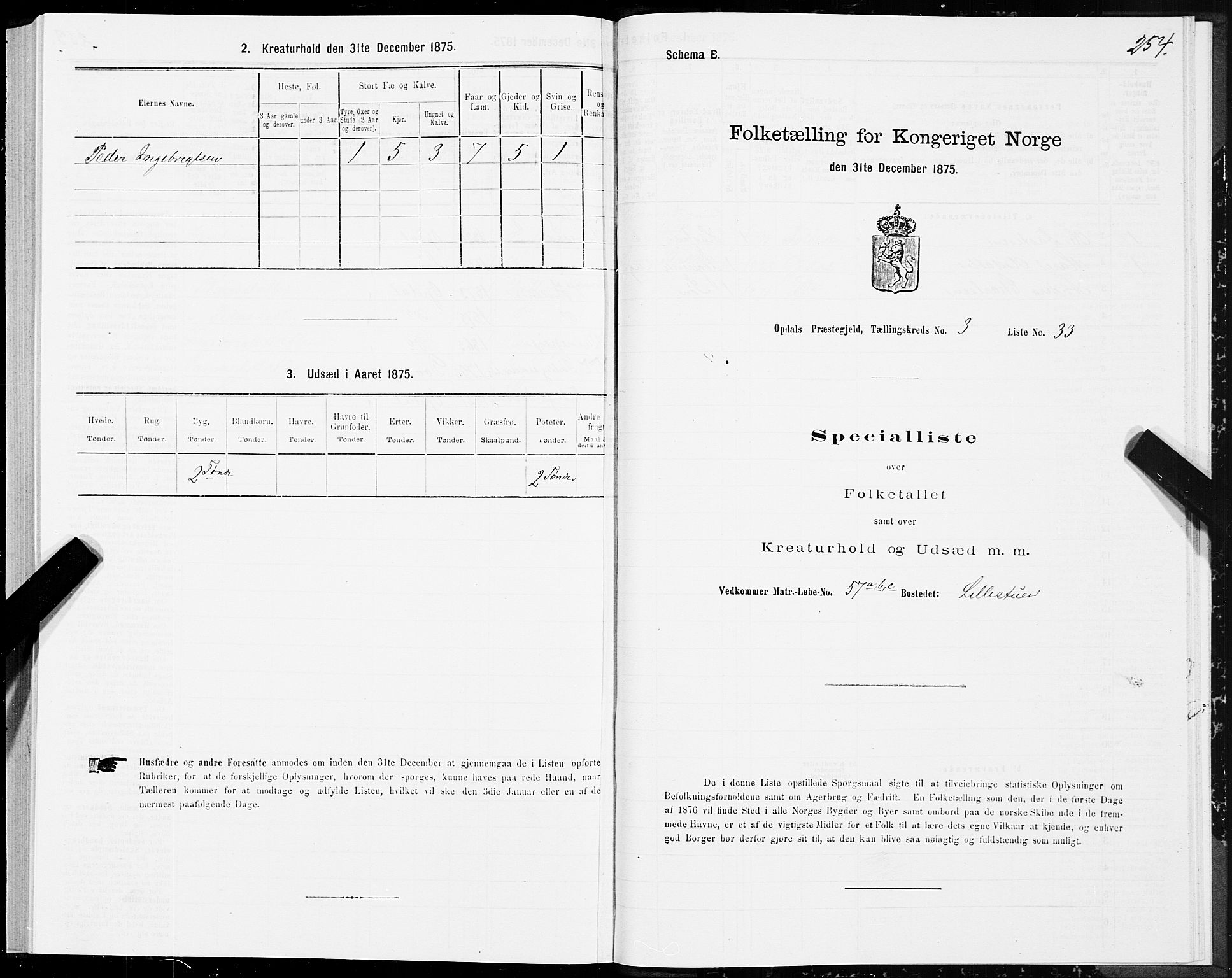 SAT, Folketelling 1875 for 1634P Oppdal prestegjeld, 1875, s. 2254