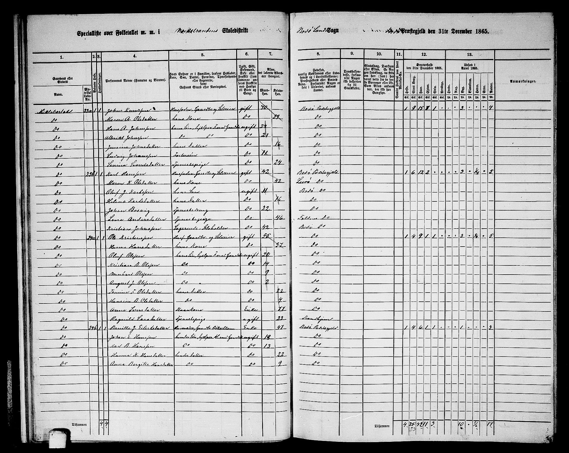 RA, Folketelling 1865 for 1843L Bodø prestegjeld, Bodø landsokn, 1865, s. 17