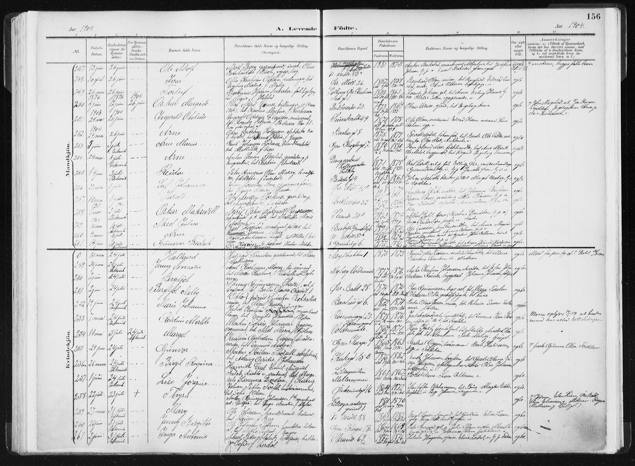 Ministerialprotokoller, klokkerbøker og fødselsregistre - Sør-Trøndelag, SAT/A-1456/604/L0199: Ministerialbok nr. 604A20I, 1901-1906, s. 156