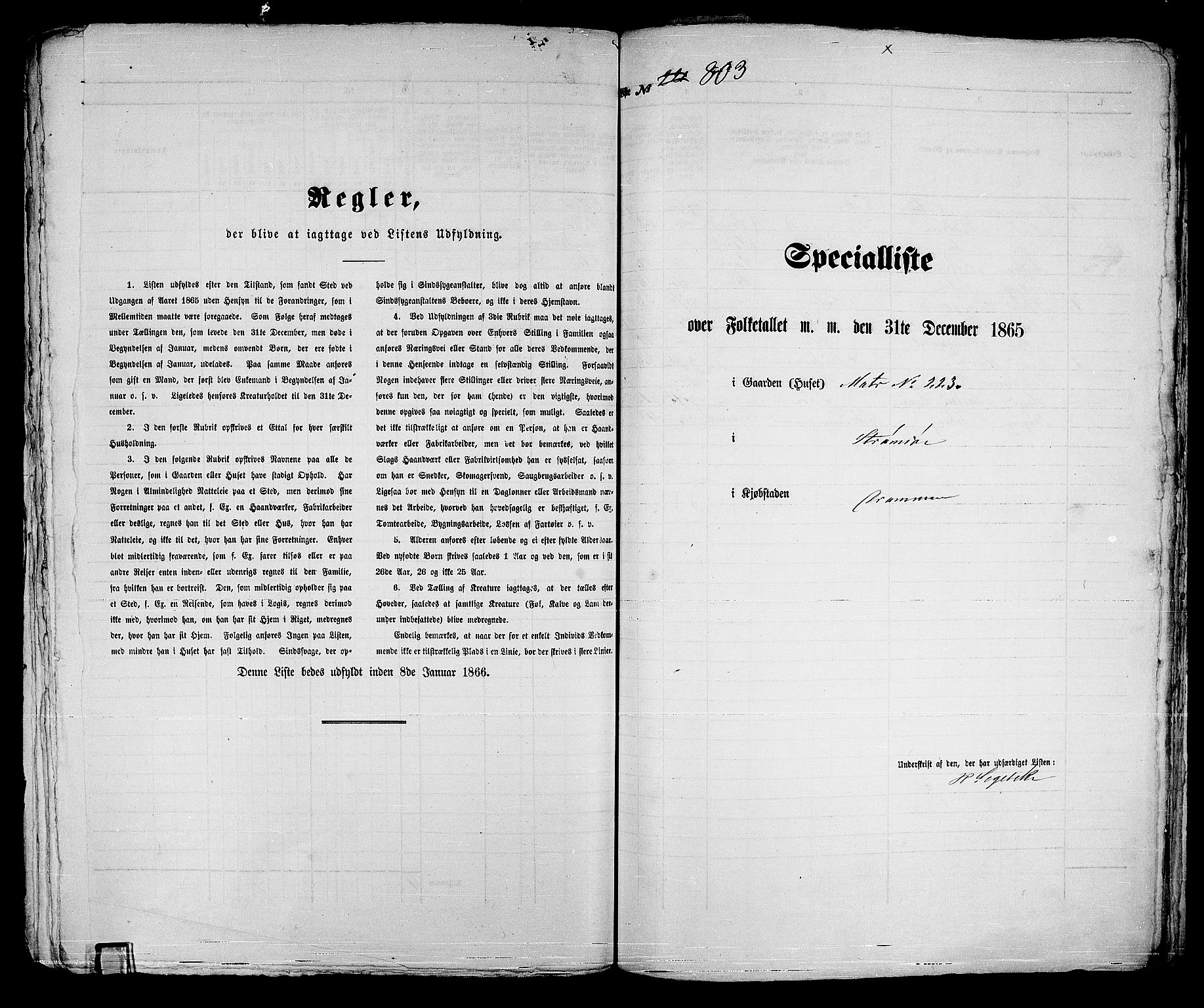 RA, Folketelling 1865 for 0602bP Strømsø prestegjeld i Drammen kjøpstad, 1865, s. 419