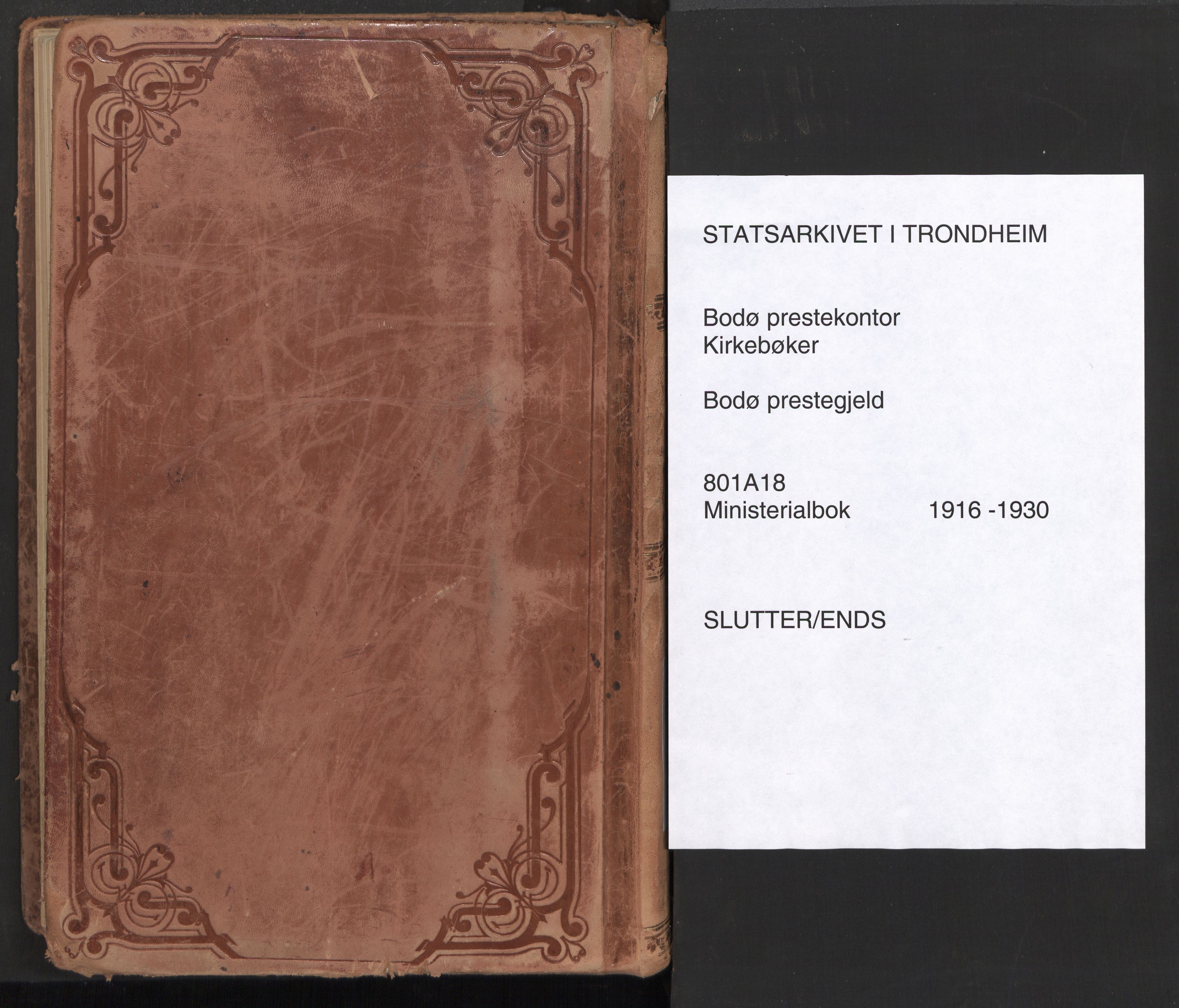 Ministerialprotokoller, klokkerbøker og fødselsregistre - Nordland, AV/SAT-A-1459/801/L0018: Ministerialbok nr. 801A18, 1916-1930