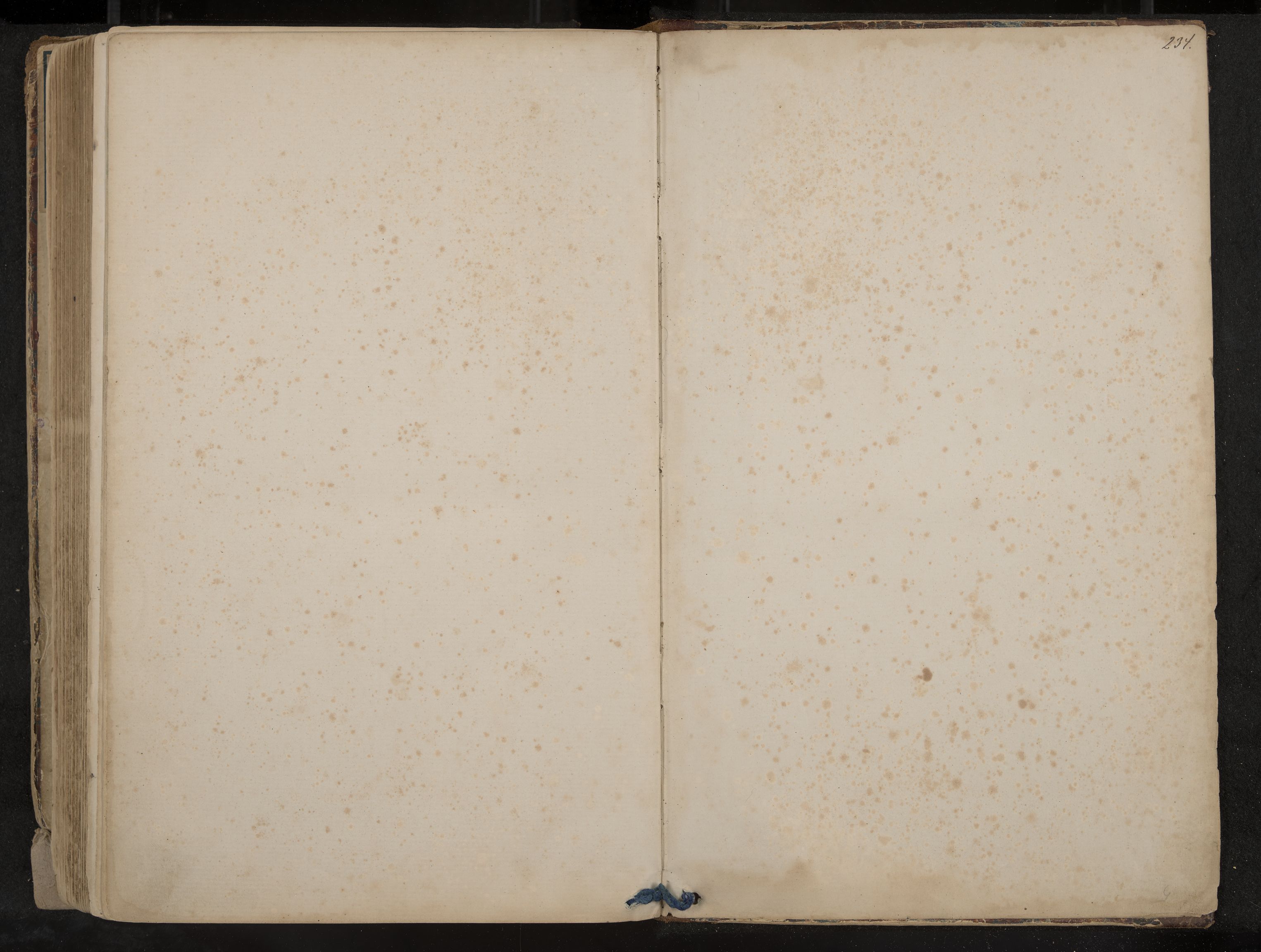 Andebu formannskap og sentraladministrasjon, IKAK/0719021-1/A/Aa/L0002: Møtebok med register, 1869-1891, s. 234