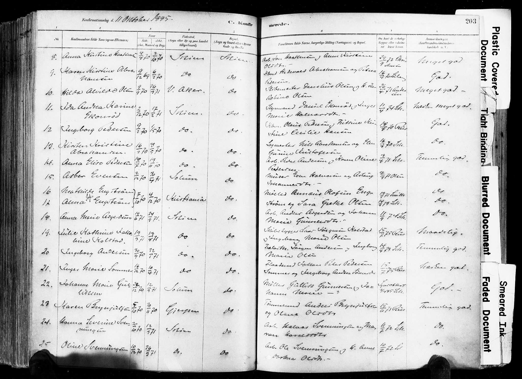 Skien kirkebøker, SAKO/A-302/F/Fa/L0009: Ministerialbok nr. 9, 1878-1890, s. 203