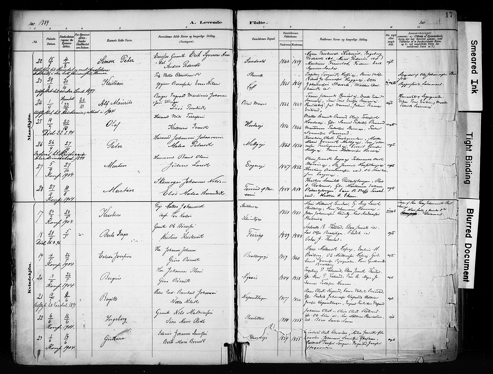 Biri prestekontor, AV/SAH-PREST-096/H/Ha/Haa/L0009: Ministerialbok nr. 9, 1887-1900, s. 17