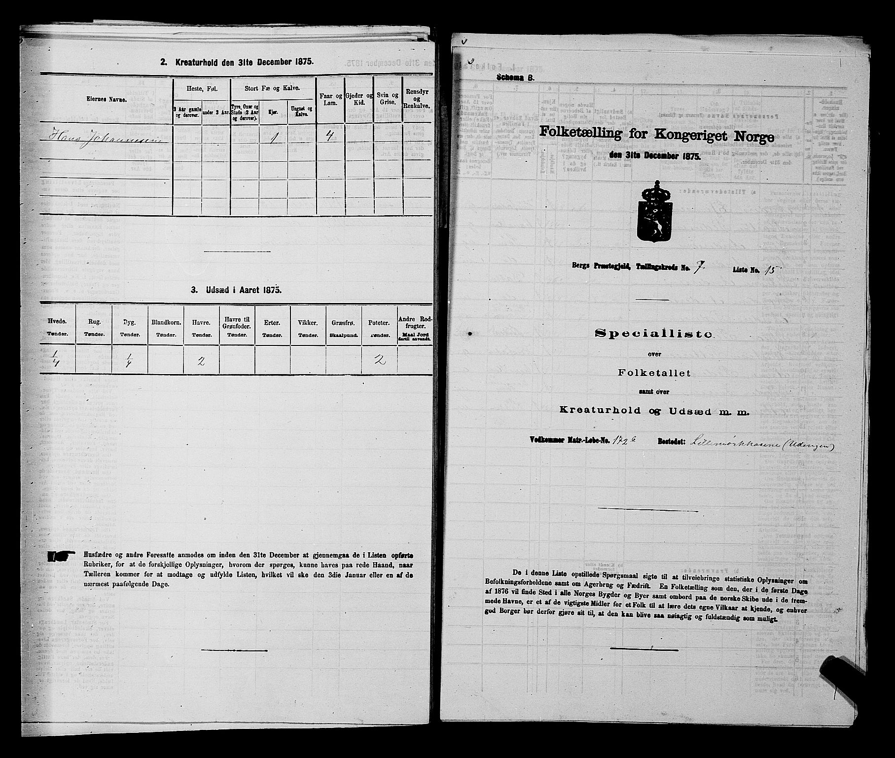 RA, Folketelling 1875 for 0116P Berg prestegjeld, 1875, s. 1167