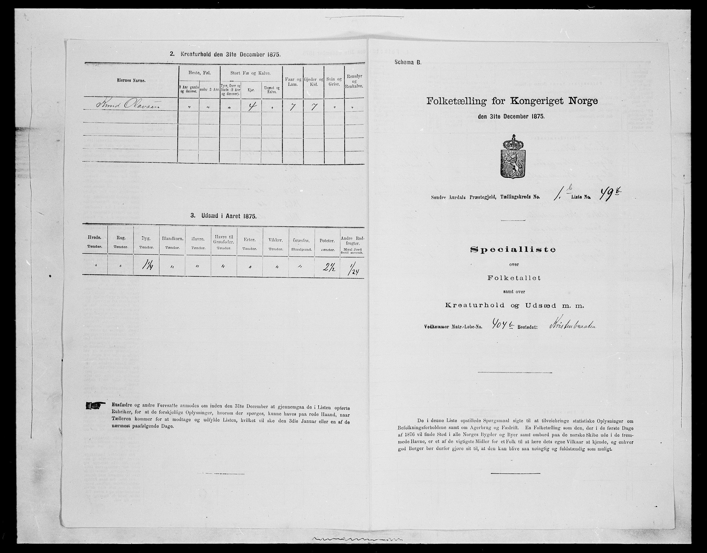 SAH, Folketelling 1875 for 0540P Sør-Aurdal prestegjeld, 1875, s. 403