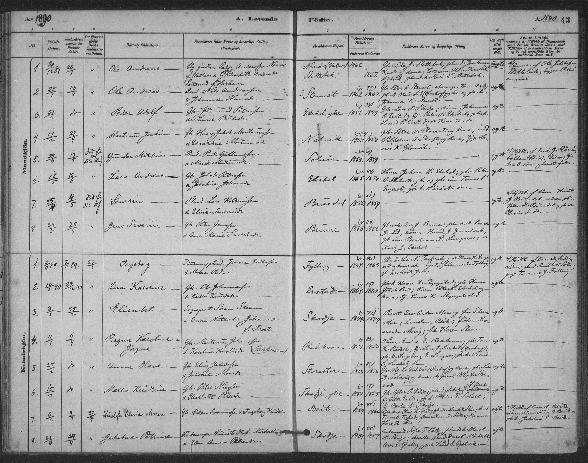 Ministerialprotokoller, klokkerbøker og fødselsregistre - Møre og Romsdal, AV/SAT-A-1454/524/L0356: Ministerialbok nr. 524A08, 1880-1899, s. 43