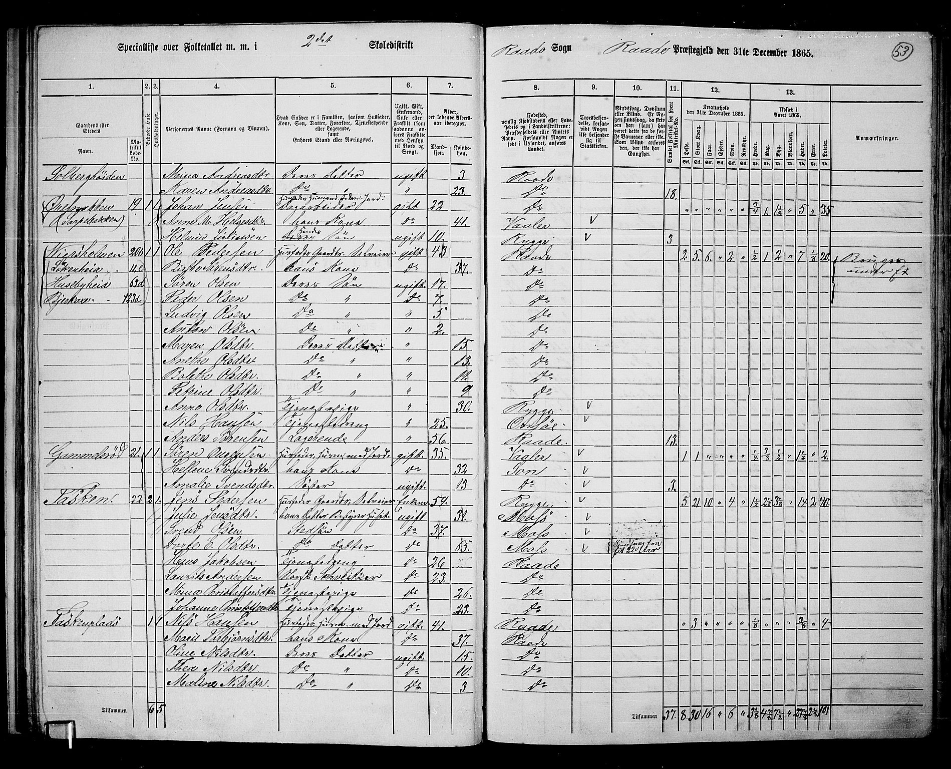 RA, Folketelling 1865 for 0135P Råde prestegjeld, 1865, s. 47
