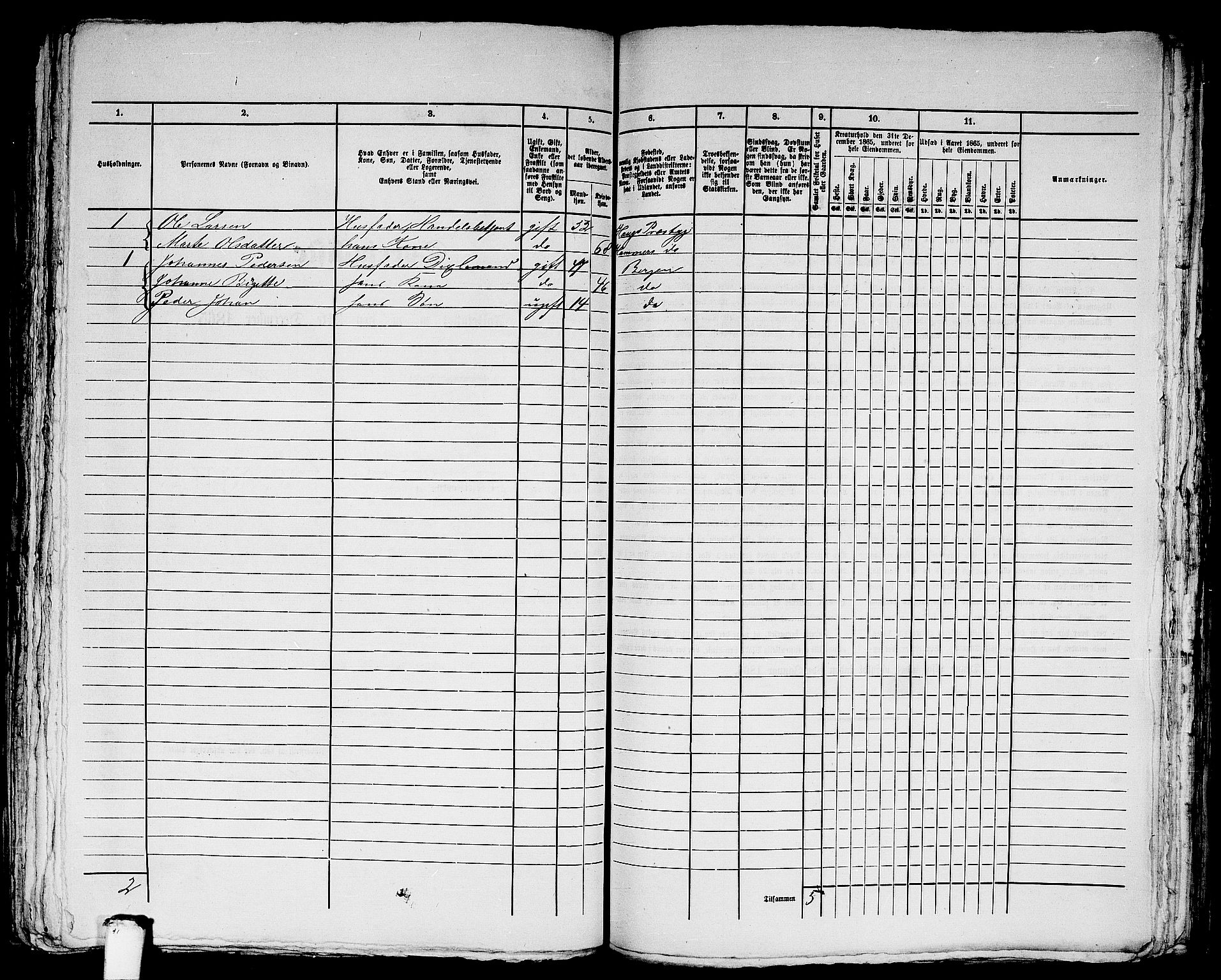 RA, Folketelling 1865 for 1281L Bergen Landdistrikt, Domkirkens landsokn og Korskirkens landsokn, 1865, s. 212