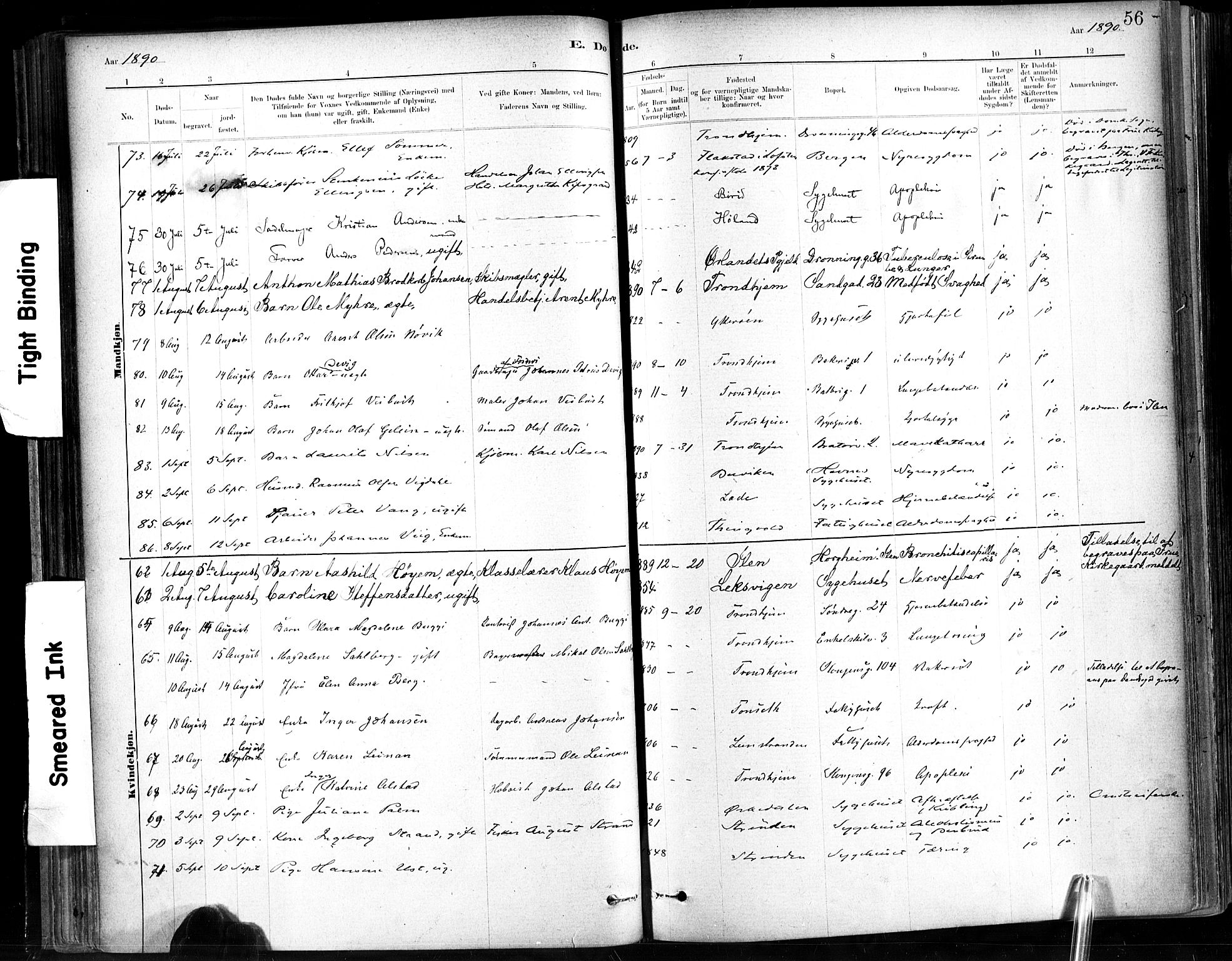 Ministerialprotokoller, klokkerbøker og fødselsregistre - Sør-Trøndelag, SAT/A-1456/602/L0120: Ministerialbok nr. 602A18, 1880-1913, s. 56