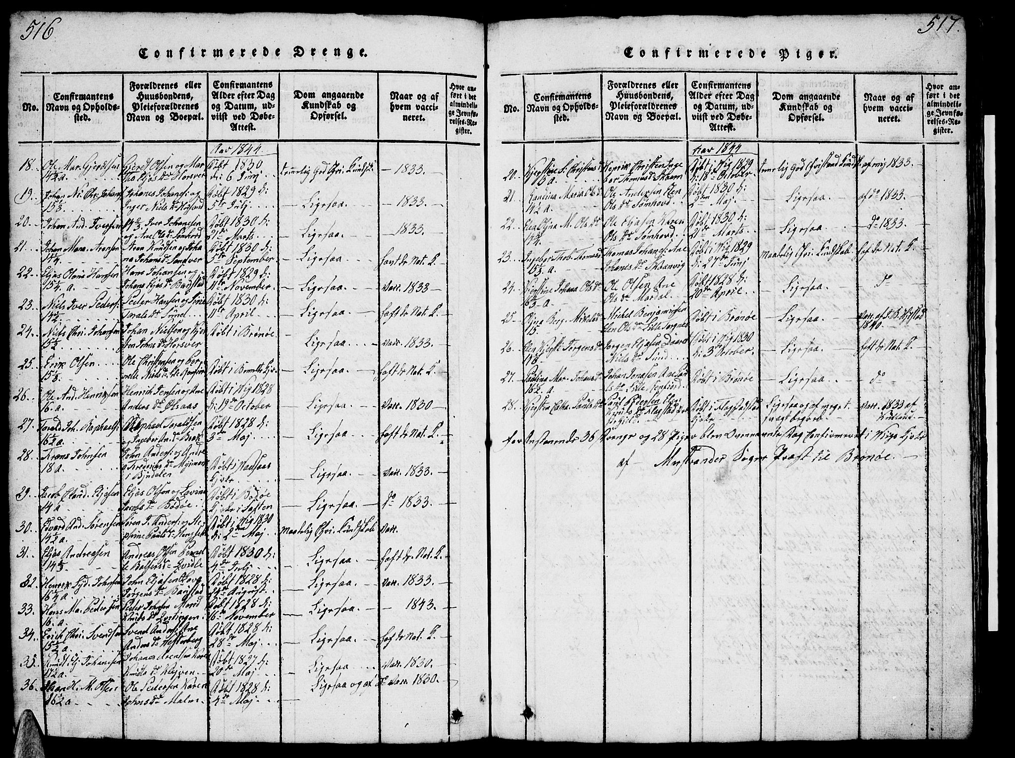 Ministerialprotokoller, klokkerbøker og fødselsregistre - Nordland, AV/SAT-A-1459/812/L0186: Klokkerbok nr. 812C04, 1820-1849, s. 516-517