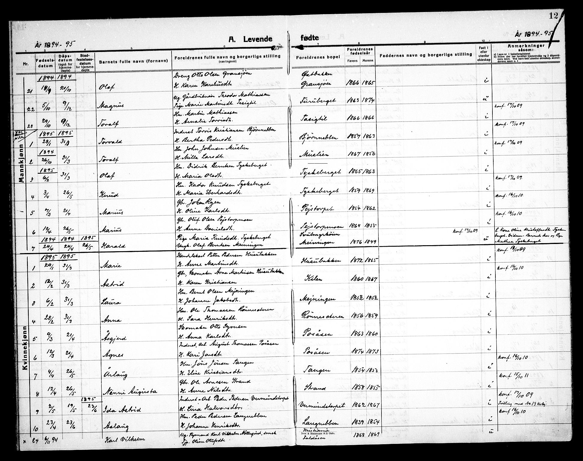 Åsnes prestekontor, AV/SAH-PREST-042/H/Ha/Haa/L0000E: Ministerialbok nr. 0C, 1890-1929, s. 12