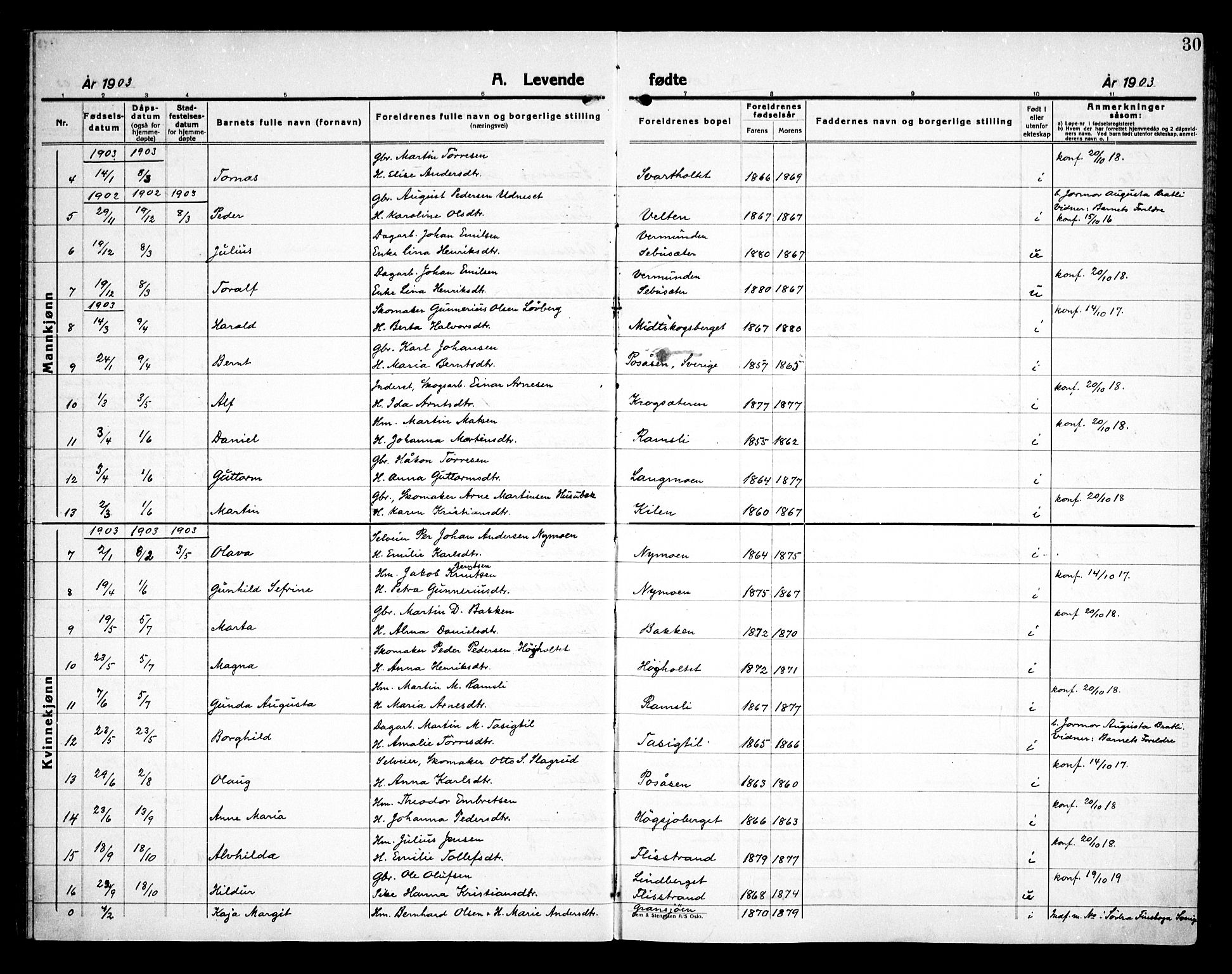 Åsnes prestekontor, AV/SAH-PREST-042/H/Ha/Haa/L0000E: Ministerialbok nr. 0C, 1890-1929, s. 30