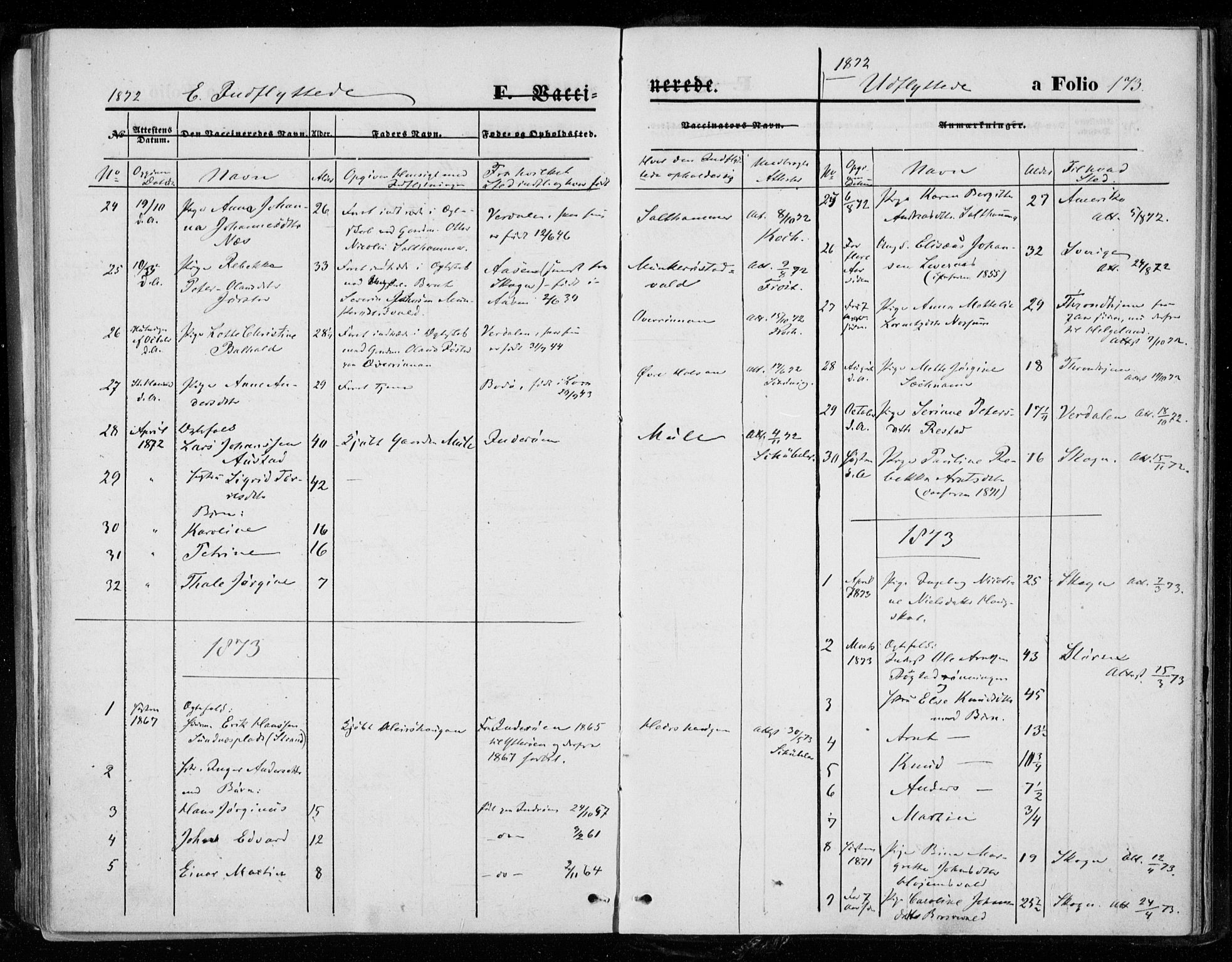Ministerialprotokoller, klokkerbøker og fødselsregistre - Nord-Trøndelag, SAT/A-1458/721/L0206: Ministerialbok nr. 721A01, 1864-1874, s. 173