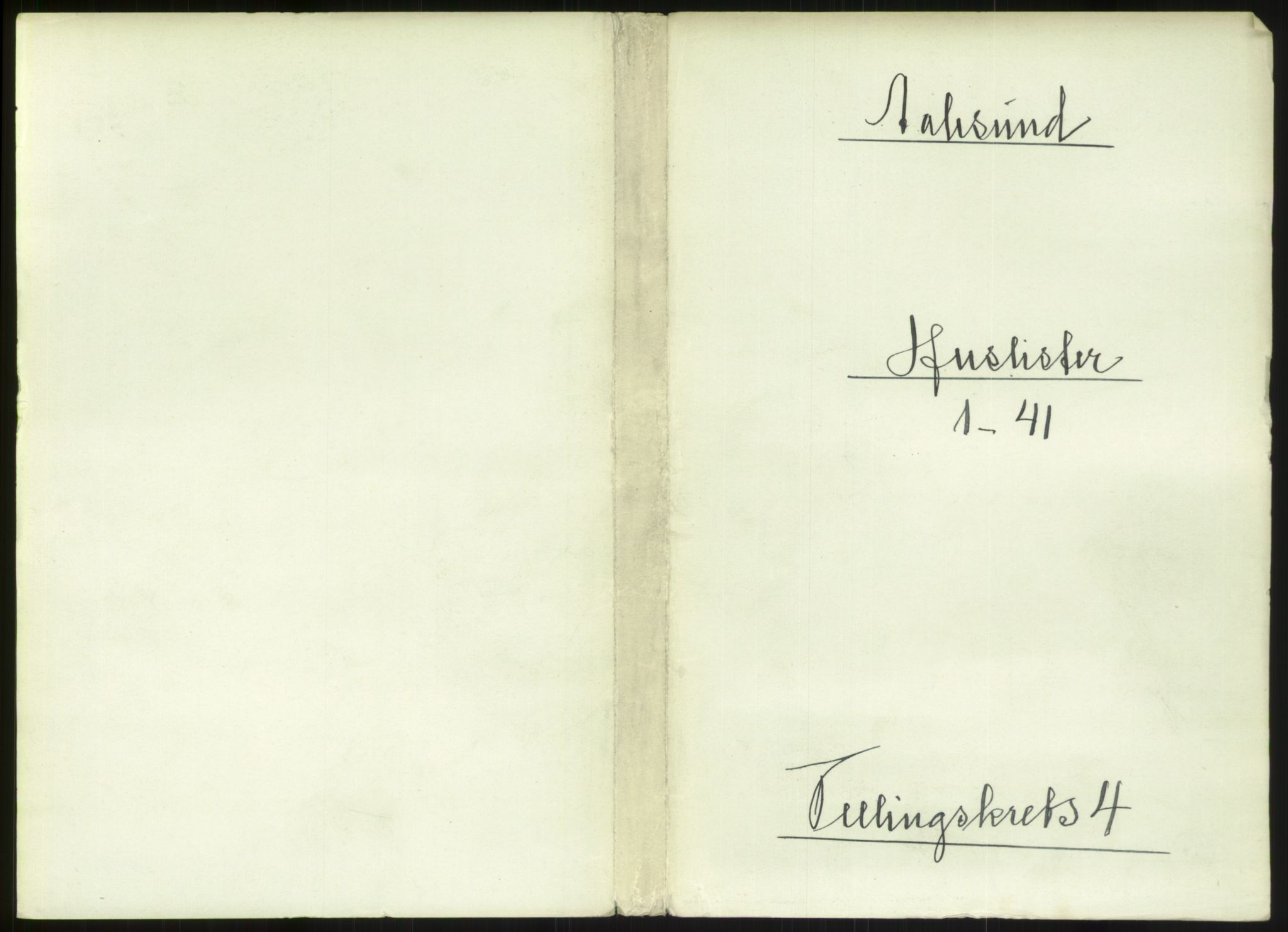 RA, Folketelling 1891 for 1501 Ålesund kjøpstad, 1891, s. 294