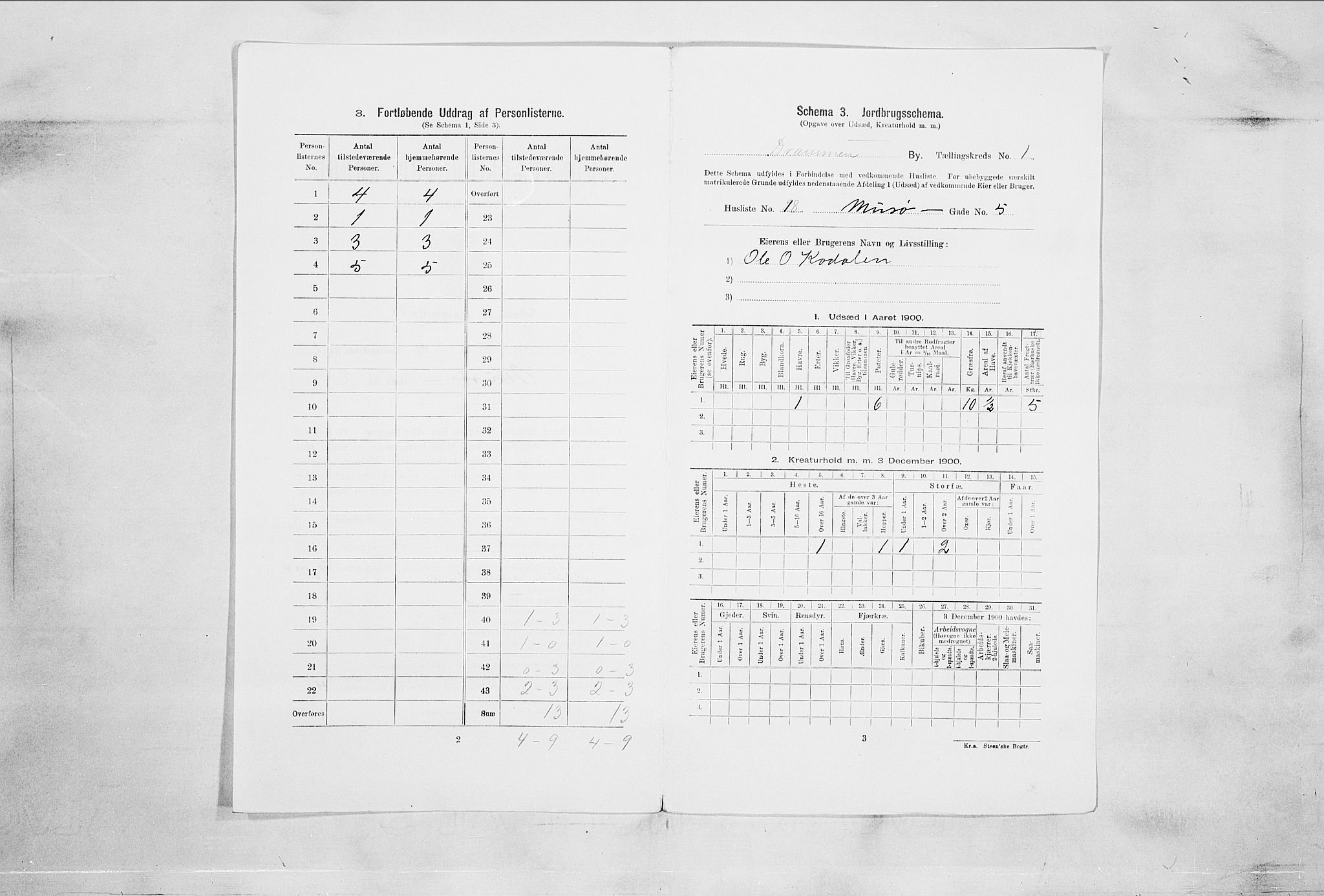 RA, Folketelling 1900 for 0602 Drammen kjøpstad, 1900, s. 475