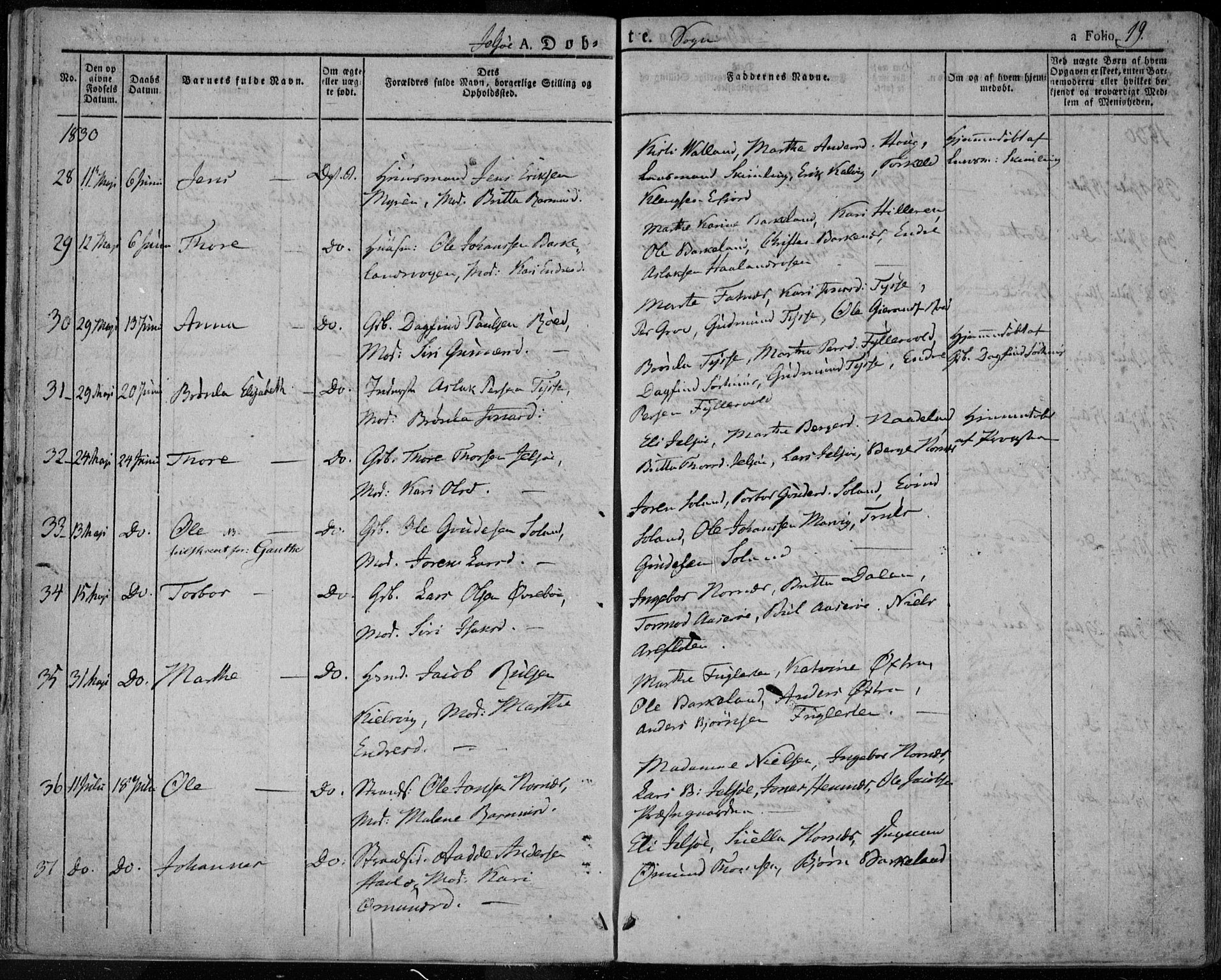 Jelsa sokneprestkontor, AV/SAST-A-101842/01/IV: Ministerialbok nr. A 6.1, 1828-1853, s. 19