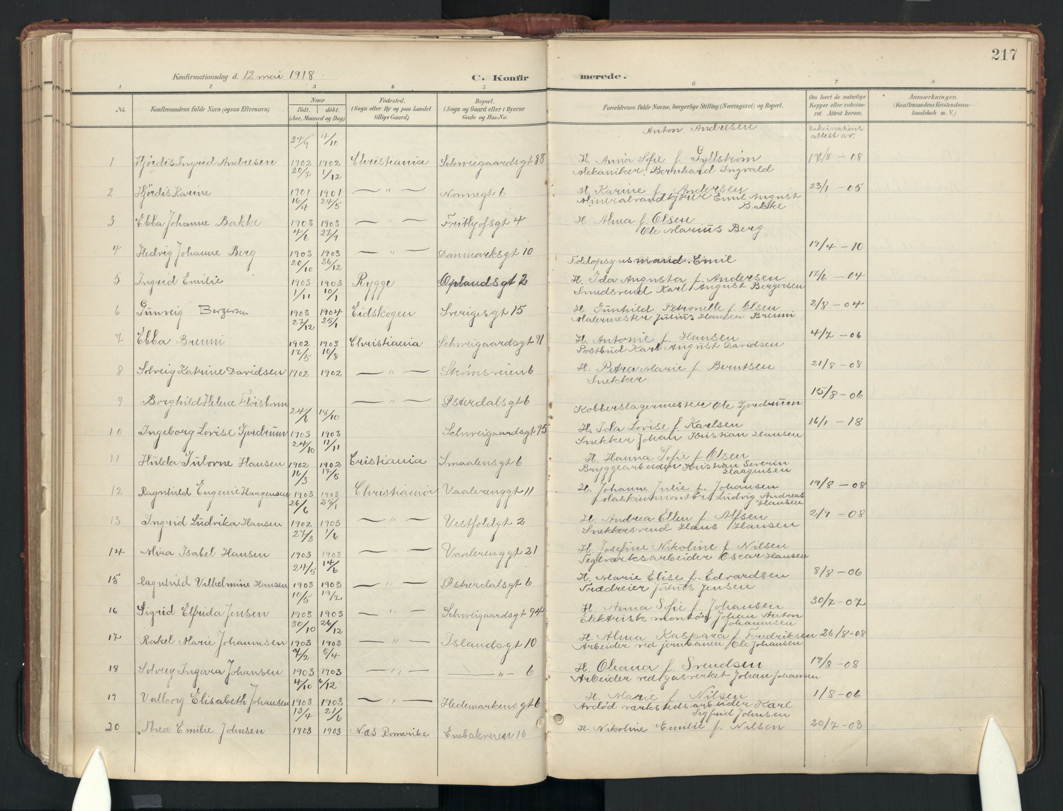 Vålerengen prestekontor Kirkebøker, AV/SAO-A-10878: Ministerialbok nr. 3a, 1900-1925, s. 217