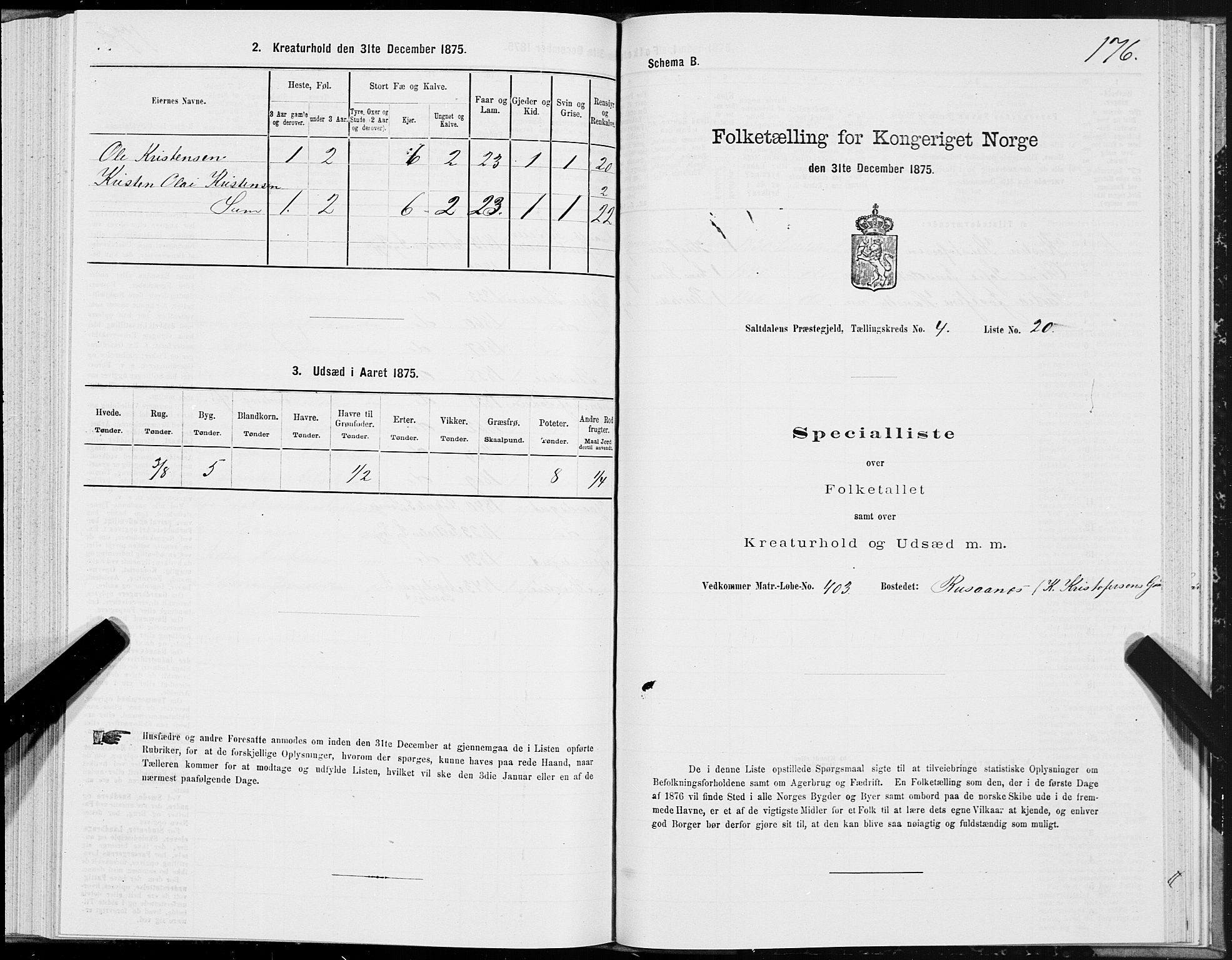 SAT, Folketelling 1875 for 1840P Saltdal prestegjeld, 1875, s. 2176