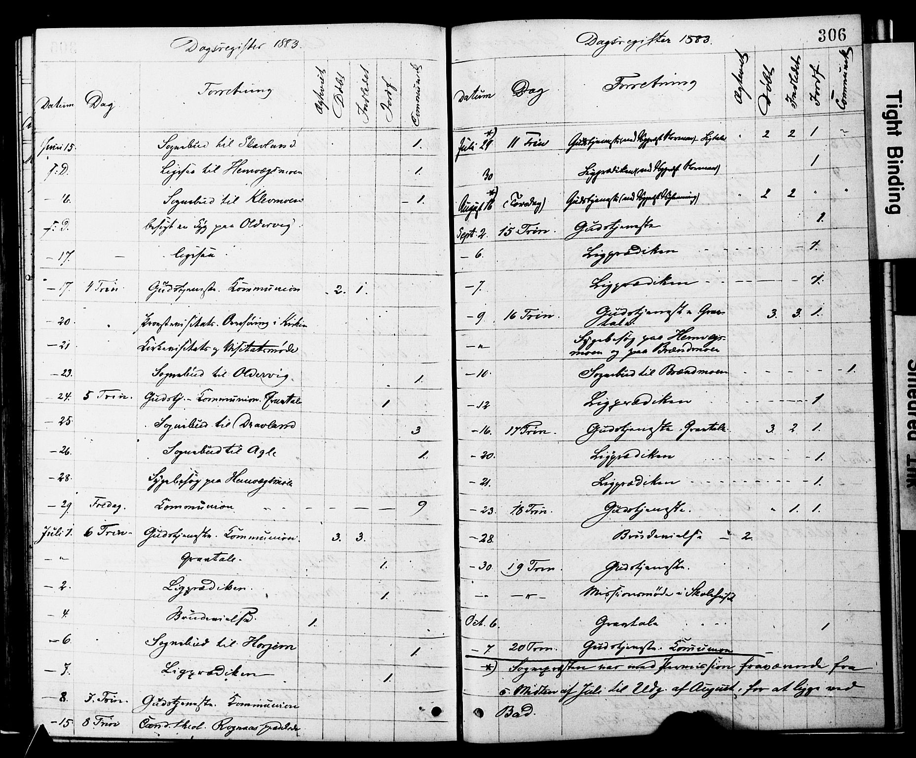Ministerialprotokoller, klokkerbøker og fødselsregistre - Nord-Trøndelag, SAT/A-1458/749/L0473: Ministerialbok nr. 749A07, 1873-1887, s. 306