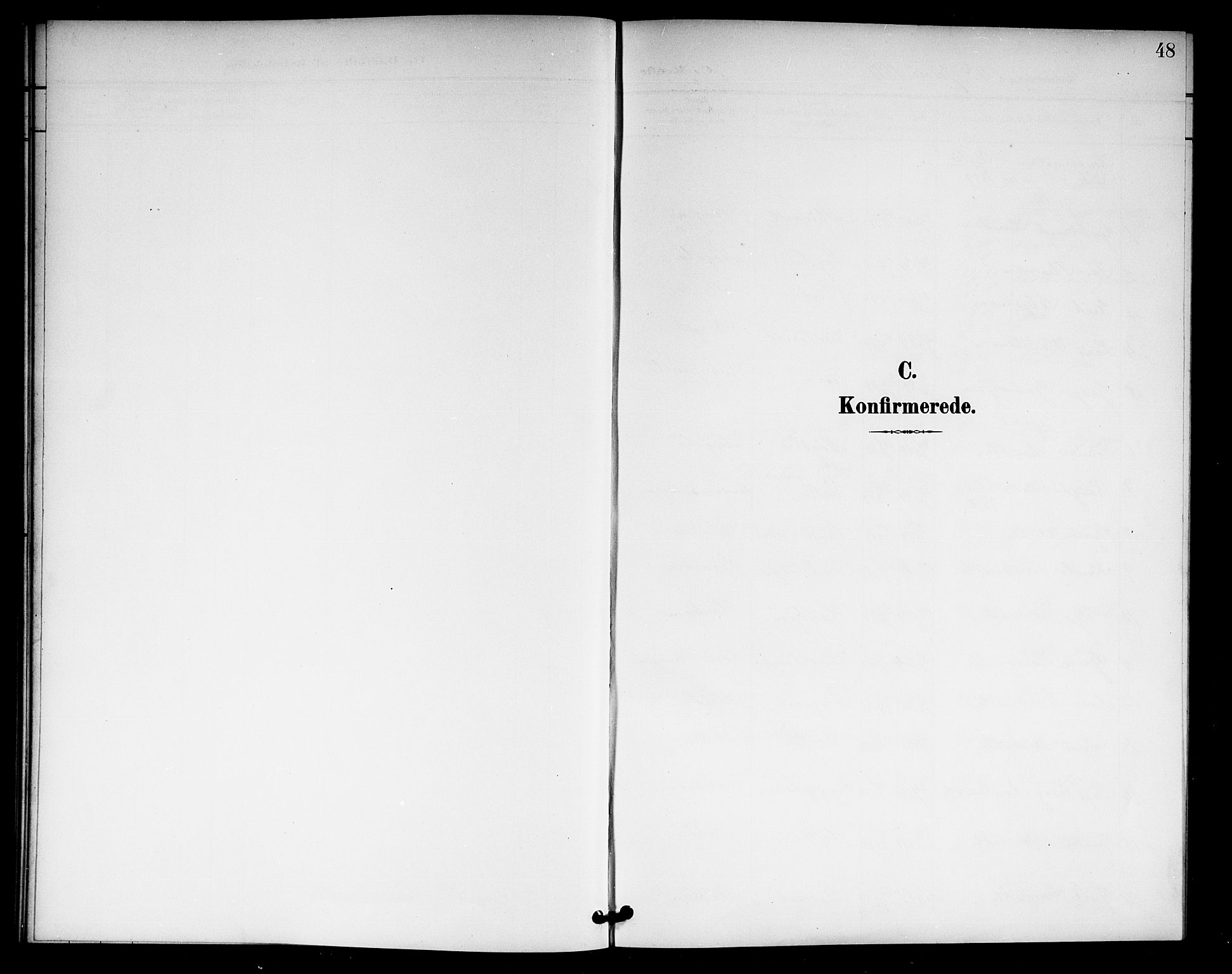 Rollag kirkebøker, AV/SAKO-A-240/G/Gb/L0003: Klokkerbok nr. II 3, 1897-1919, s. 48