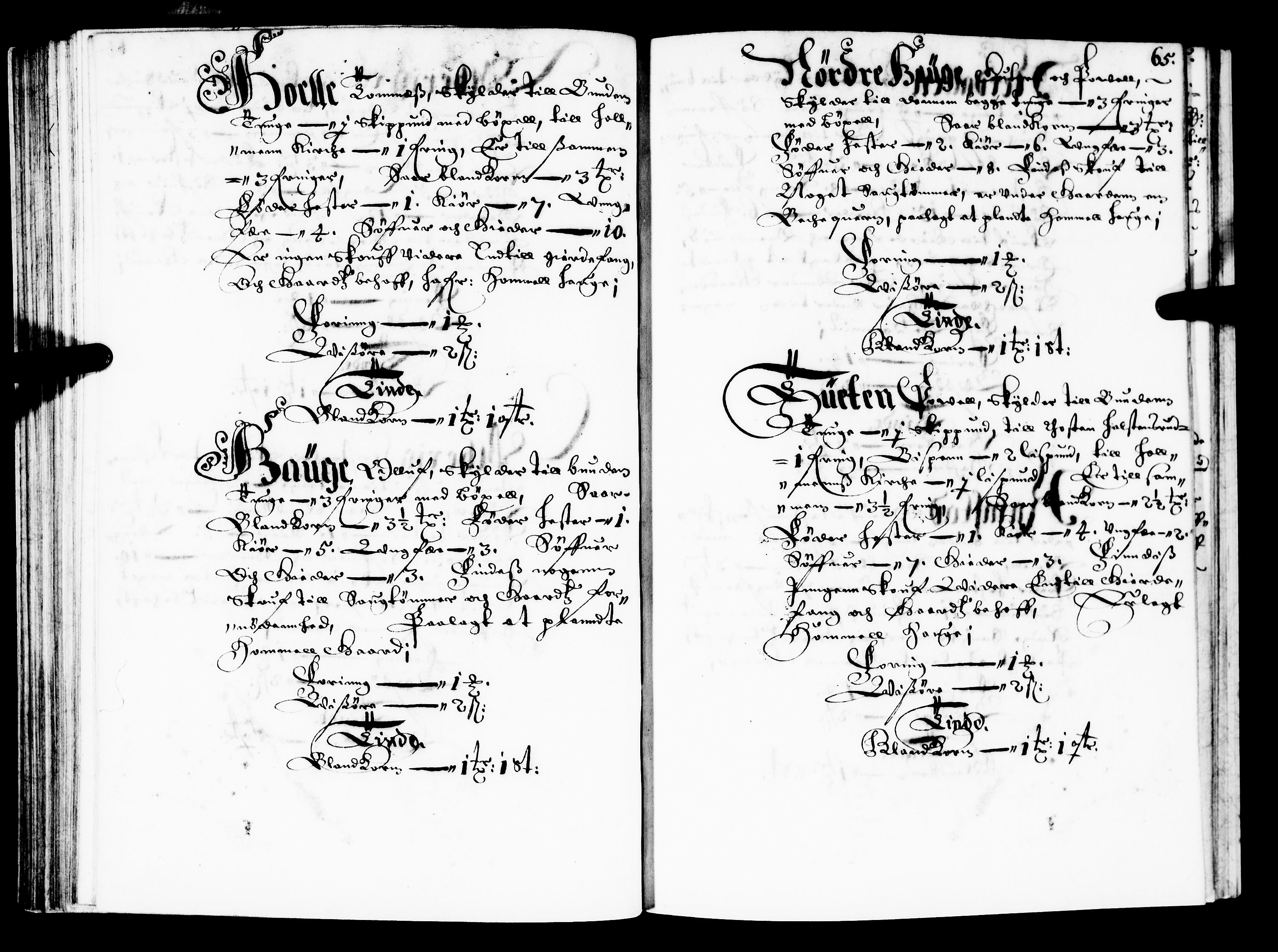 Rentekammeret inntil 1814, Realistisk ordnet avdeling, AV/RA-EA-4070/N/Nb/Nba/L0022: Buskerud fogderi, 1667, s. 64b-65a