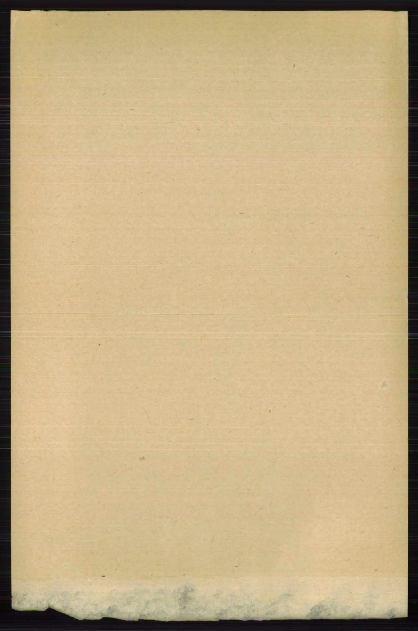 RA, Folketelling 1891 for 0716 Våle herred, 1891, s. 428