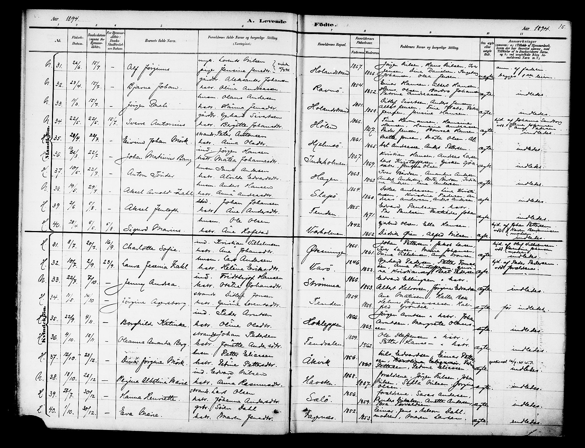 Ministerialprotokoller, klokkerbøker og fødselsregistre - Nordland, AV/SAT-A-1459/834/L0508: Ministerialbok nr. 834A06, 1892-1901, s. 15