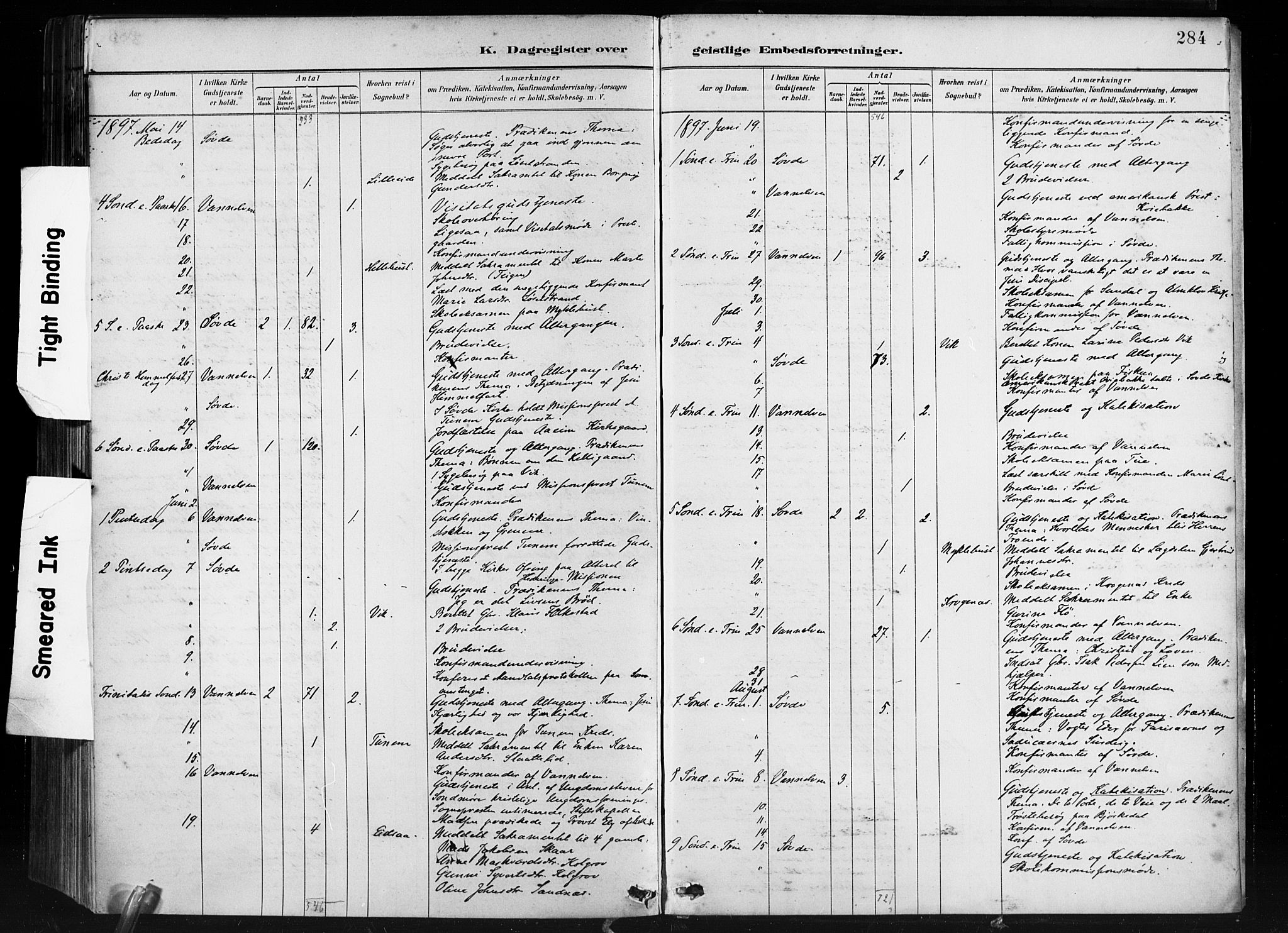 Ministerialprotokoller, klokkerbøker og fødselsregistre - Møre og Romsdal, AV/SAT-A-1454/501/L0008: Ministerialbok nr. 501A08, 1885-1901, s. 284