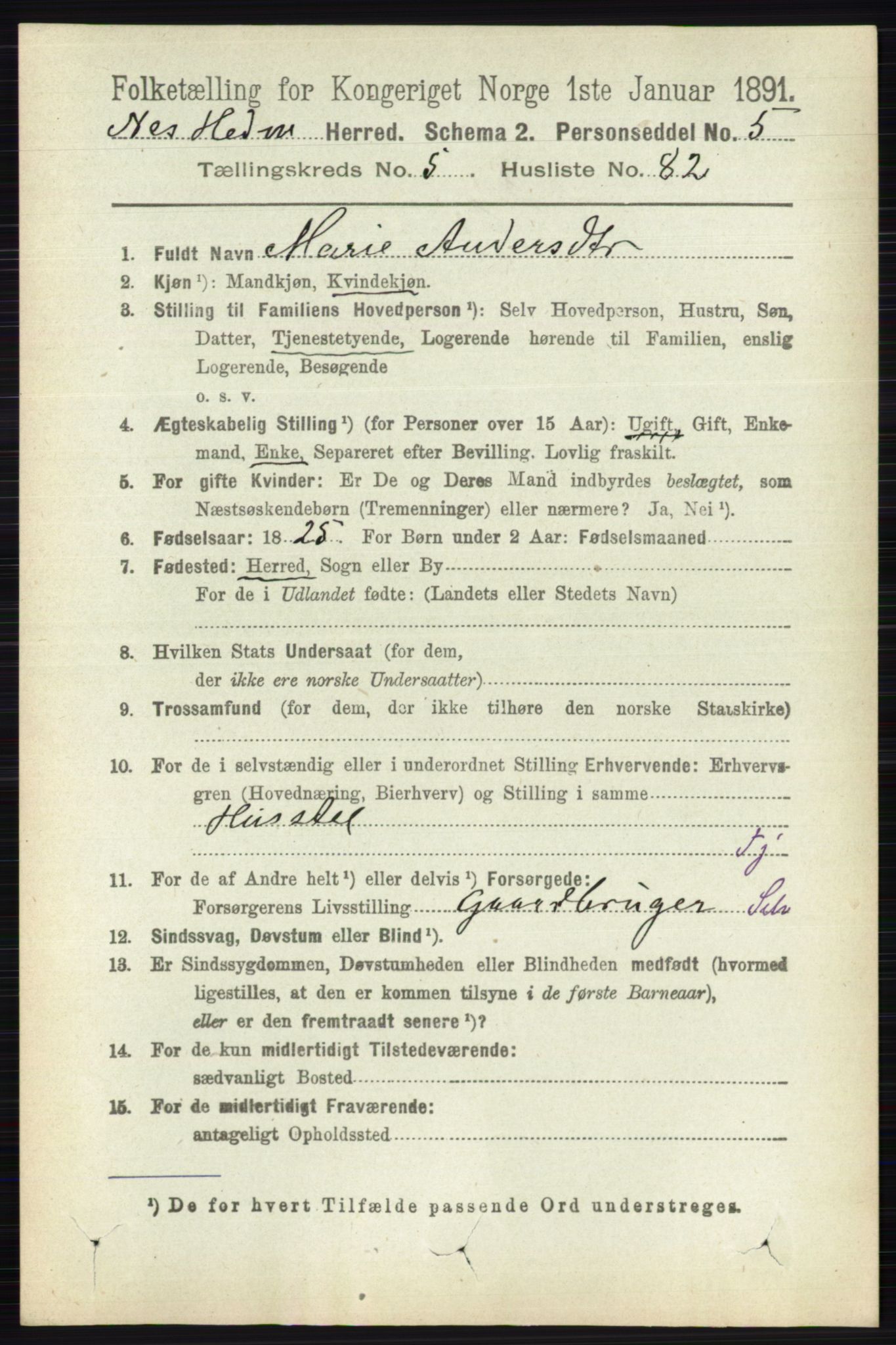 RA, Folketelling 1891 for 0411 Nes herred, 1891, s. 3134