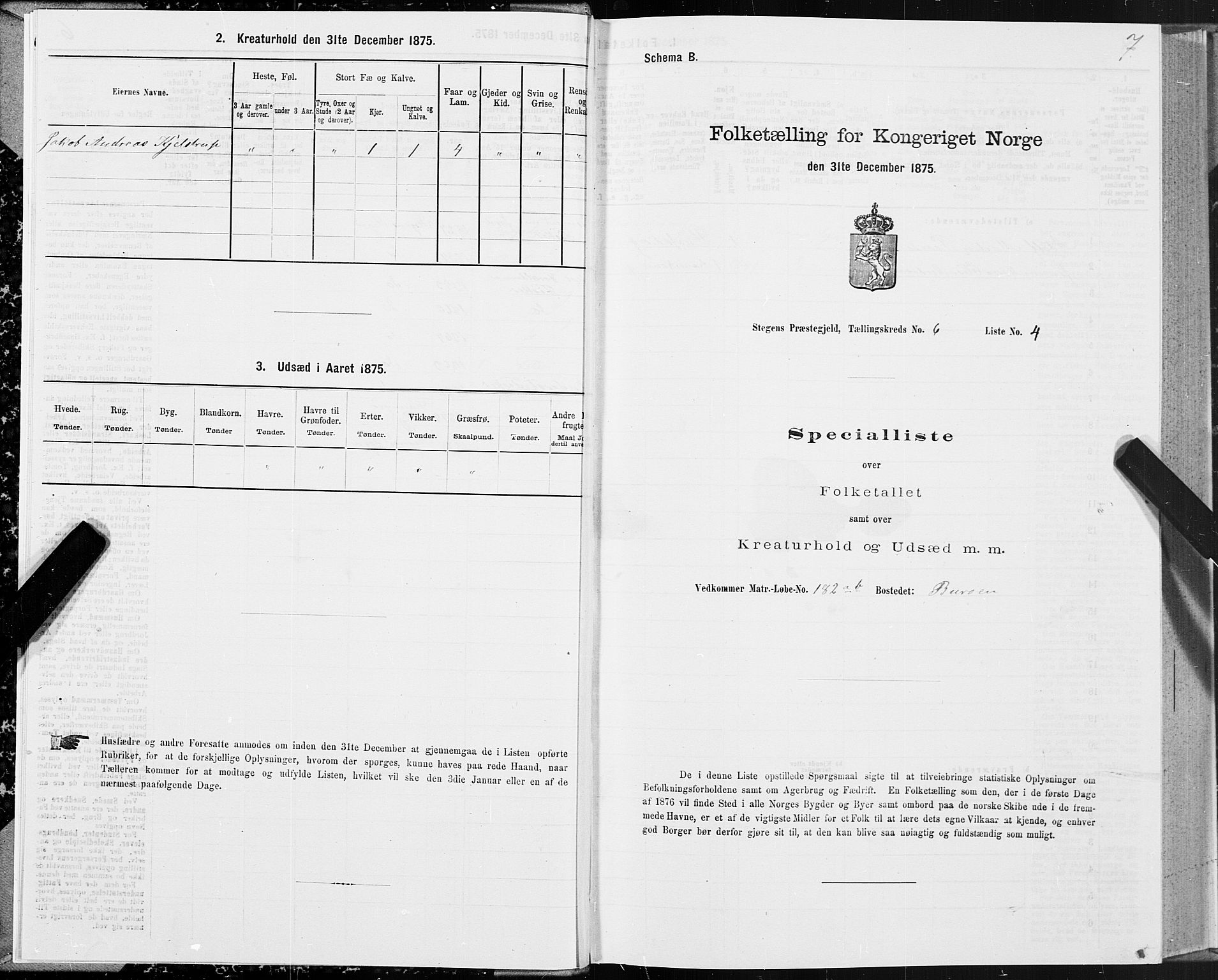 SAT, Folketelling 1875 for 1848P Steigen prestegjeld, 1875, s. 3007