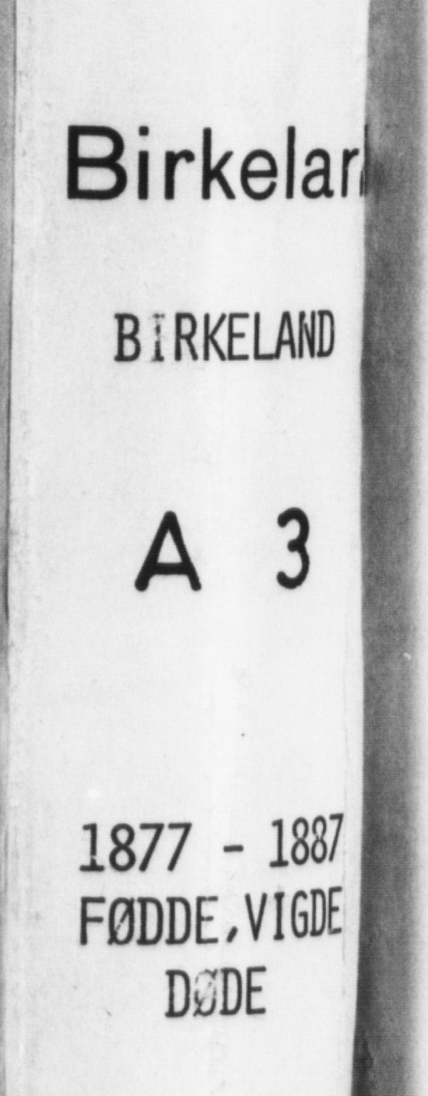 Birkeland Sokneprestembete, SAB/A-74601/H/Hab: Klokkerbok nr. A 3, 1877-1887