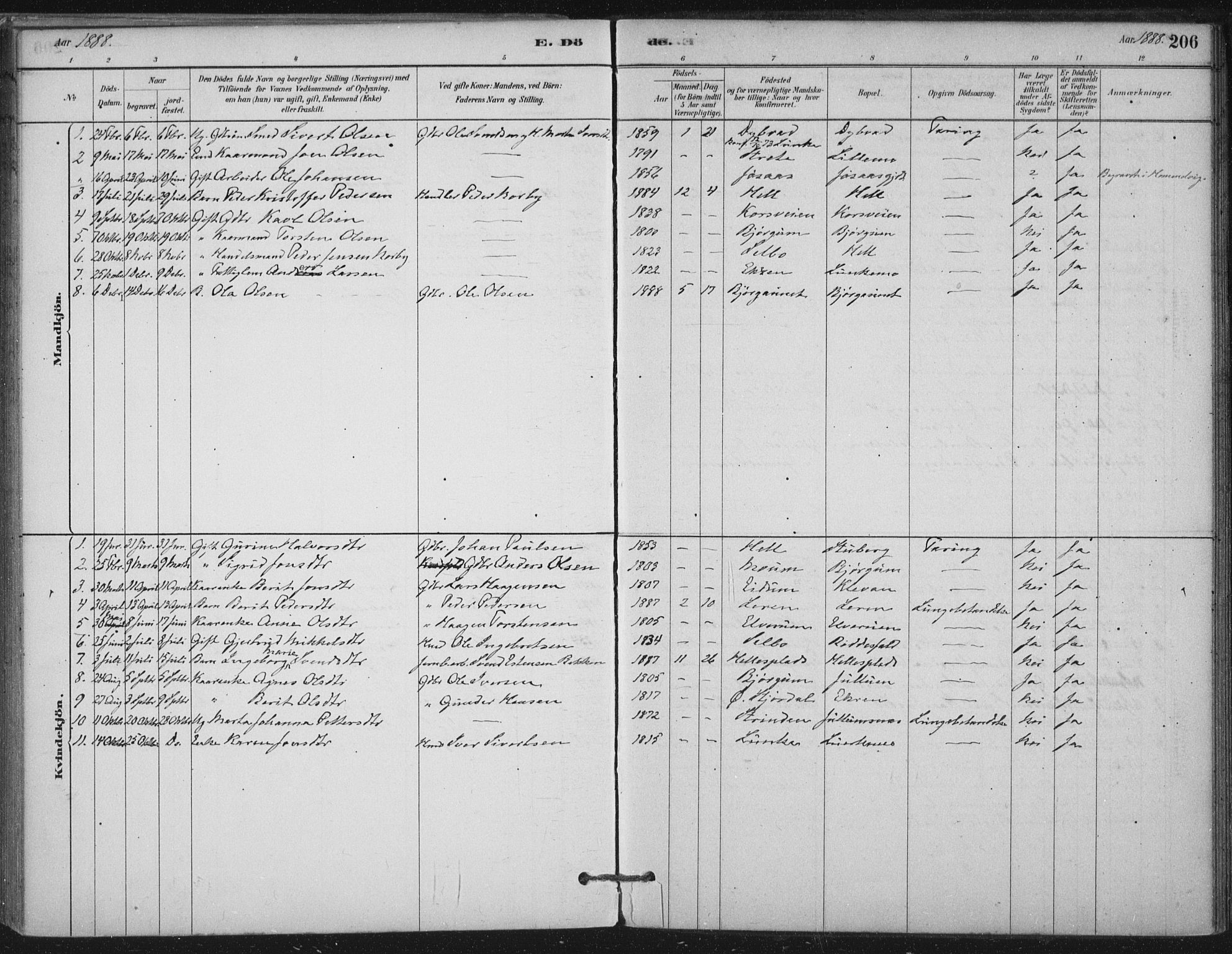 Ministerialprotokoller, klokkerbøker og fødselsregistre - Nord-Trøndelag, SAT/A-1458/710/L0095: Ministerialbok nr. 710A01, 1880-1914, s. 206