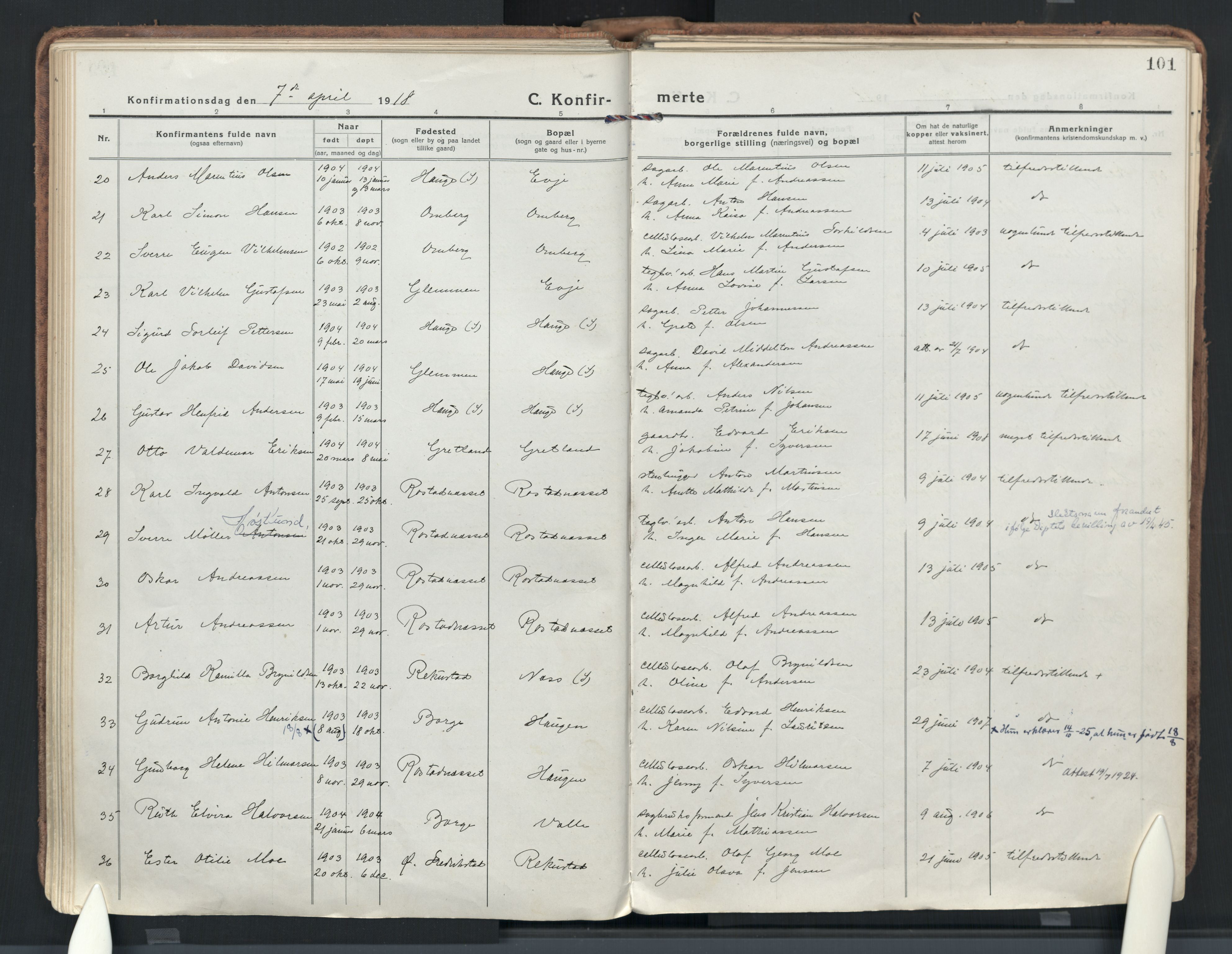 Rolvsøy prestekontor Kirkebøker, AV/SAO-A-2004/F/Fa/L0003: Ministerialbok nr. 3, 1917-1935, s. 101