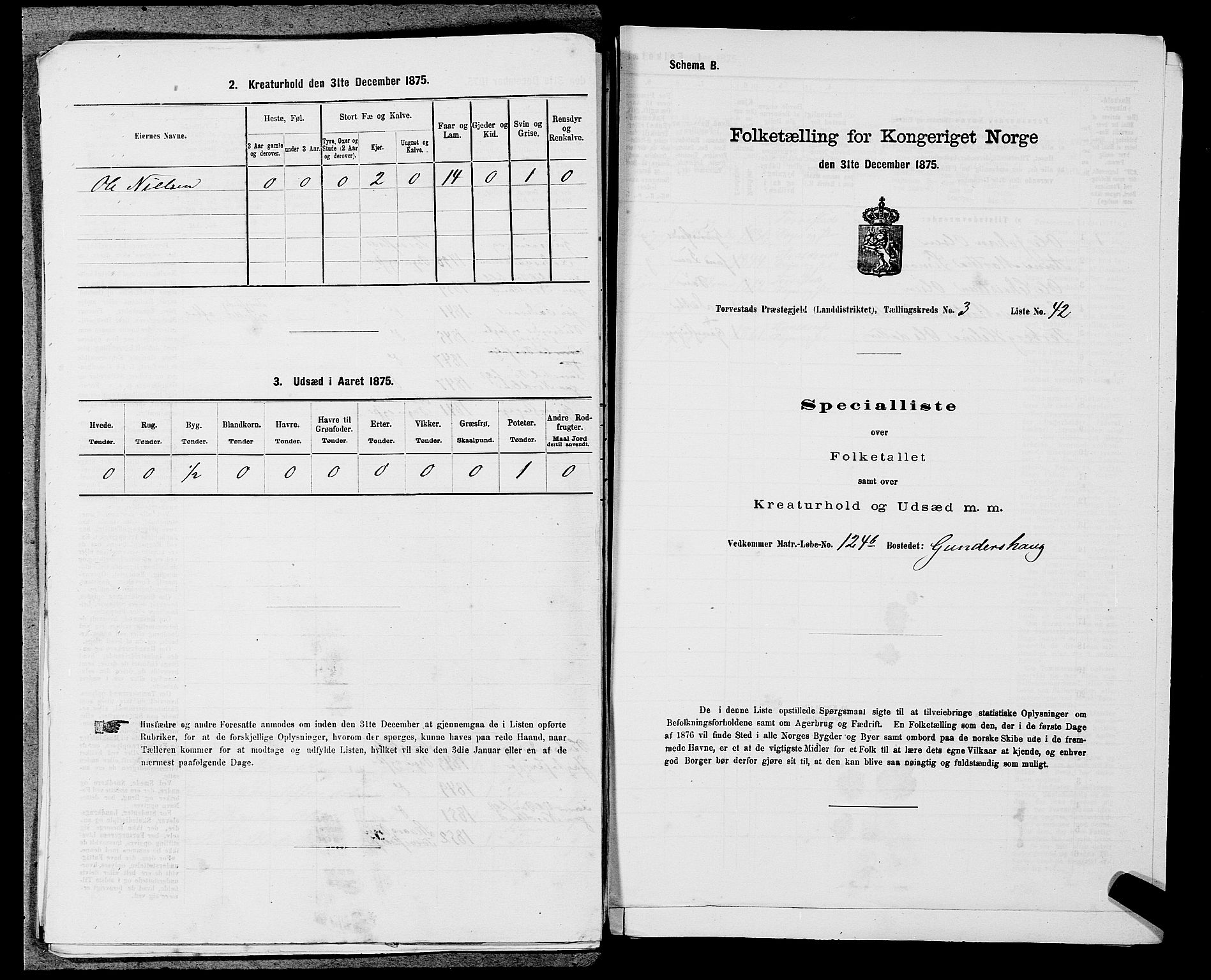 SAST, Folketelling 1875 for 1152L Torvastad prestegjeld, Torvastad sokn, Skåre sokn og Utsira sokn, 1875, s. 501