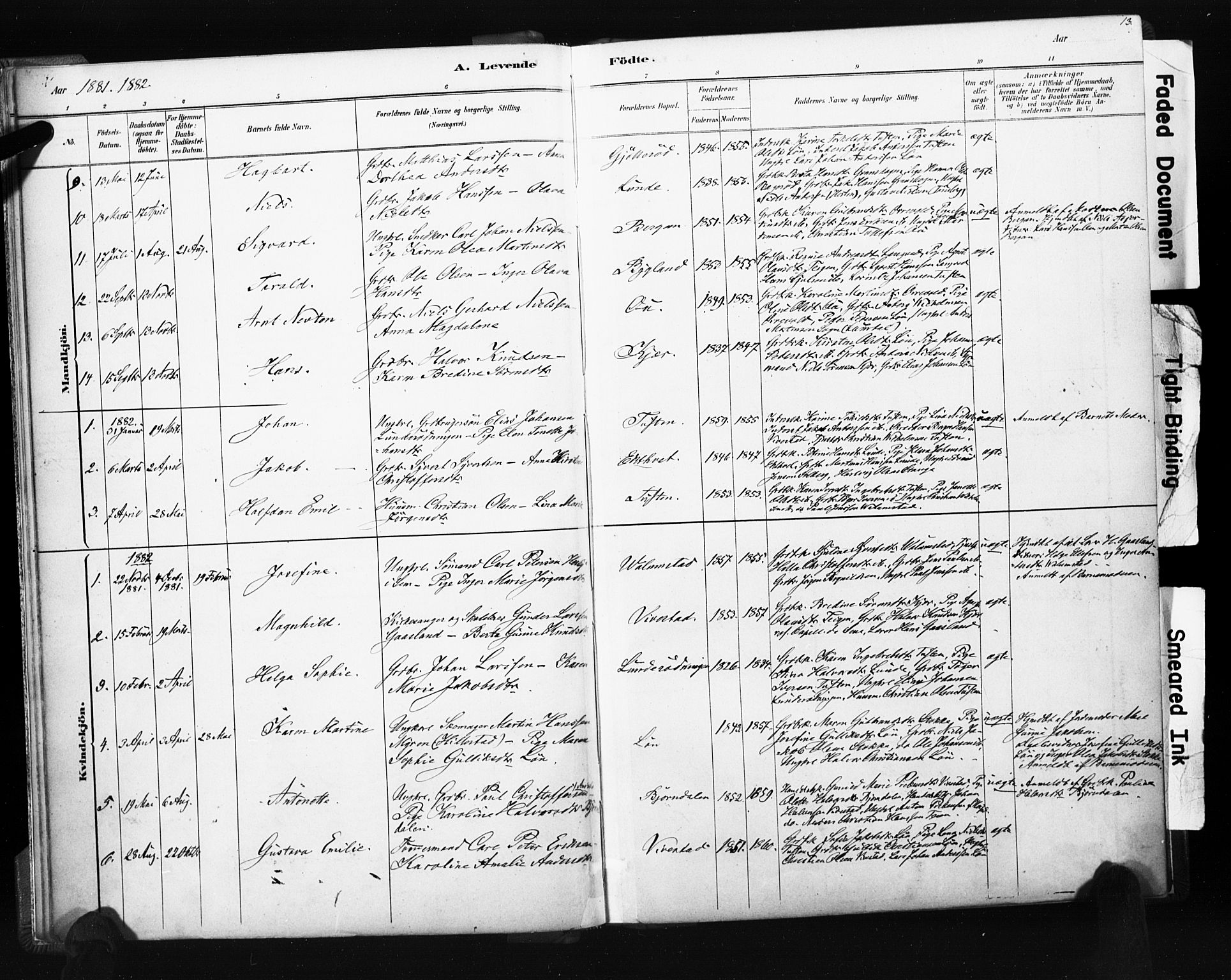 Ramnes kirkebøker, AV/SAKO-A-314/F/Fc/L0001: Ministerialbok nr. III 1, 1878-1899, s. 12-13