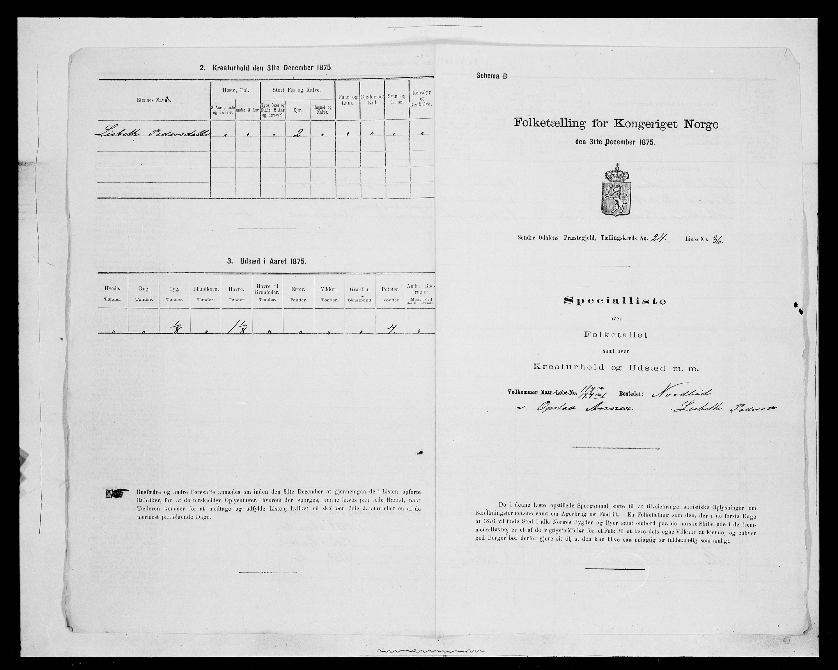 SAH, Folketelling 1875 for 0419P Sør-Odal prestegjeld, 1875, s. 2091