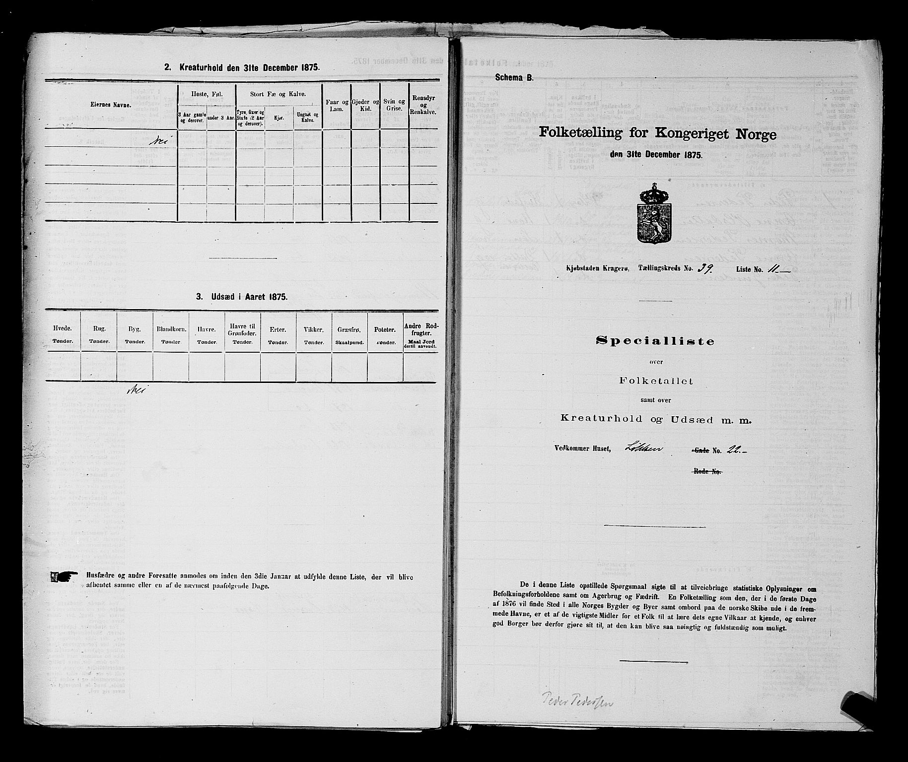 SAKO, Folketelling 1875 for 0801P Kragerø prestegjeld, 1875, s. 868